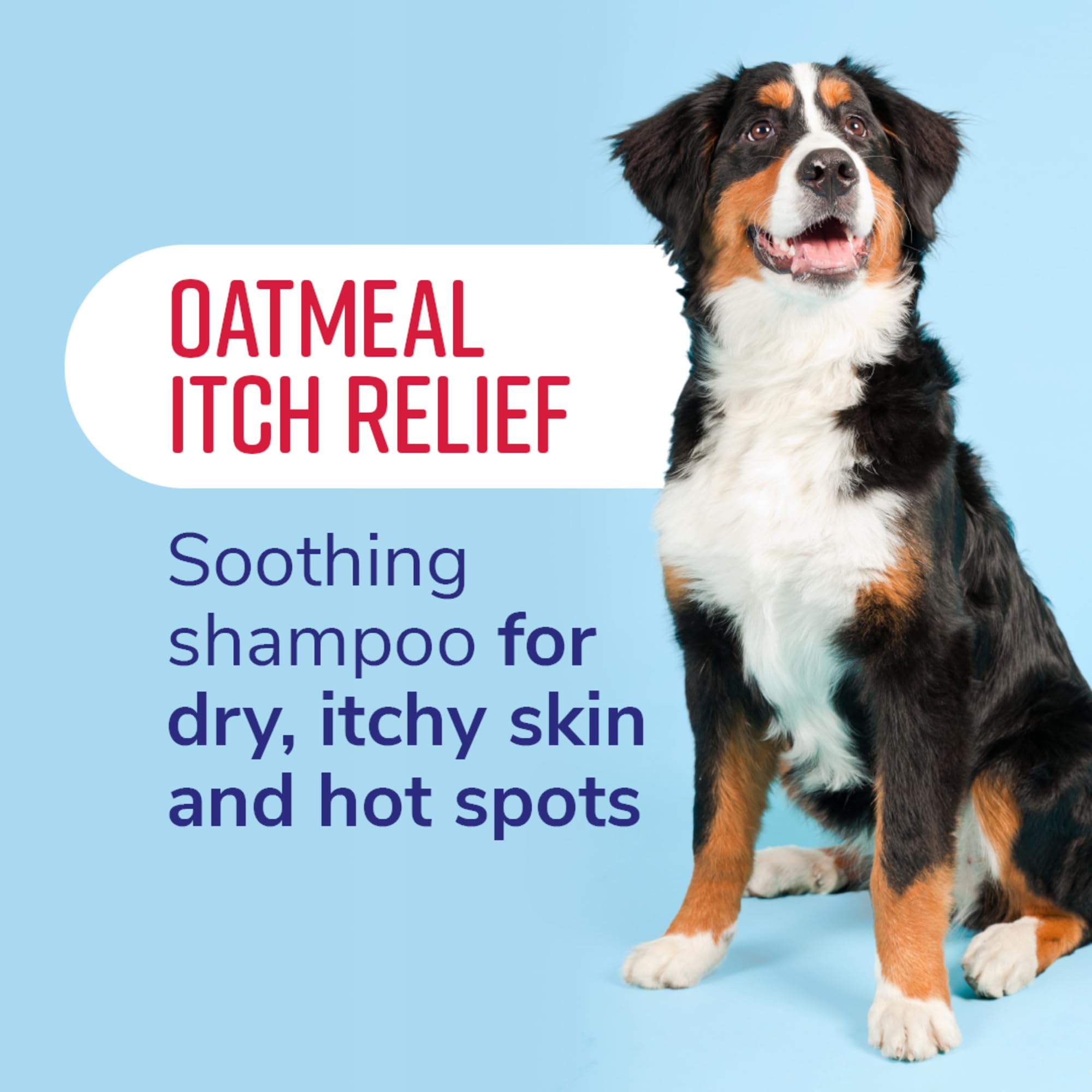 Naturel Promise Fresh & Soothing Oatmeal Itch Relief Shampoo For Pets, 22Oz - Fast Acting Oatmeal Shampoo For Dogs And Cats To Relieve Itchy Skin - Soap, Dye, & Paraben Free - Made In The Usa