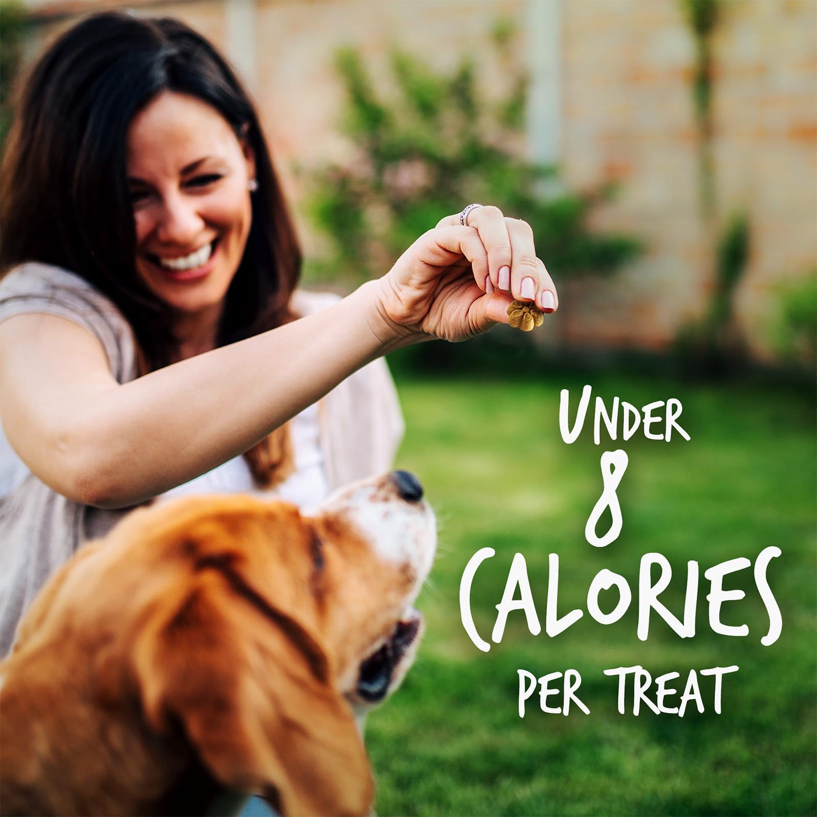 Fruitables Baked Dog Treats - Healthy Low Calorie , Free of Wheat, Corn and Soy - Pumpkin and Blueberry - 12 Ounces