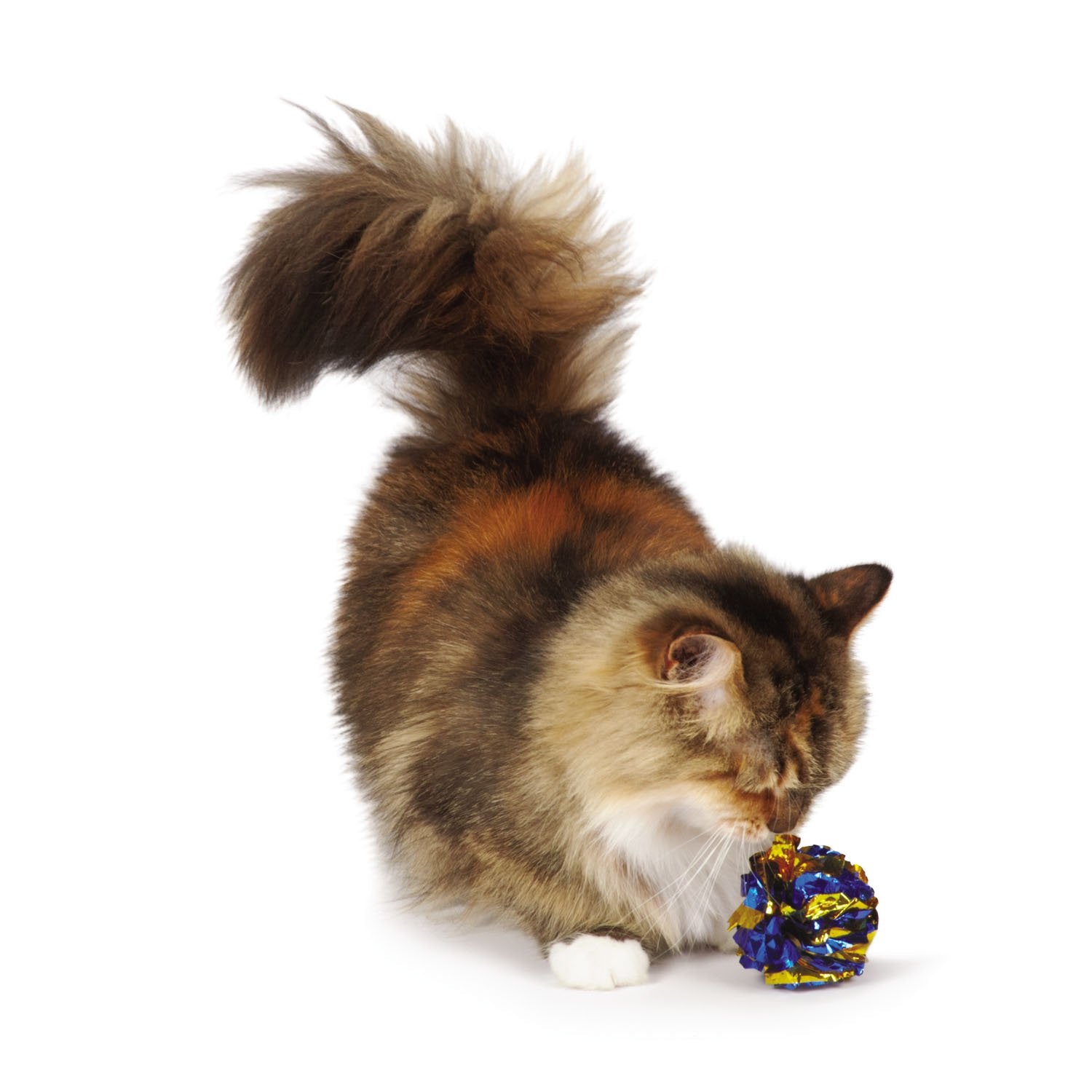 Zanies Giant Mylar Balls Cat Toys, 16-Piece Canisters