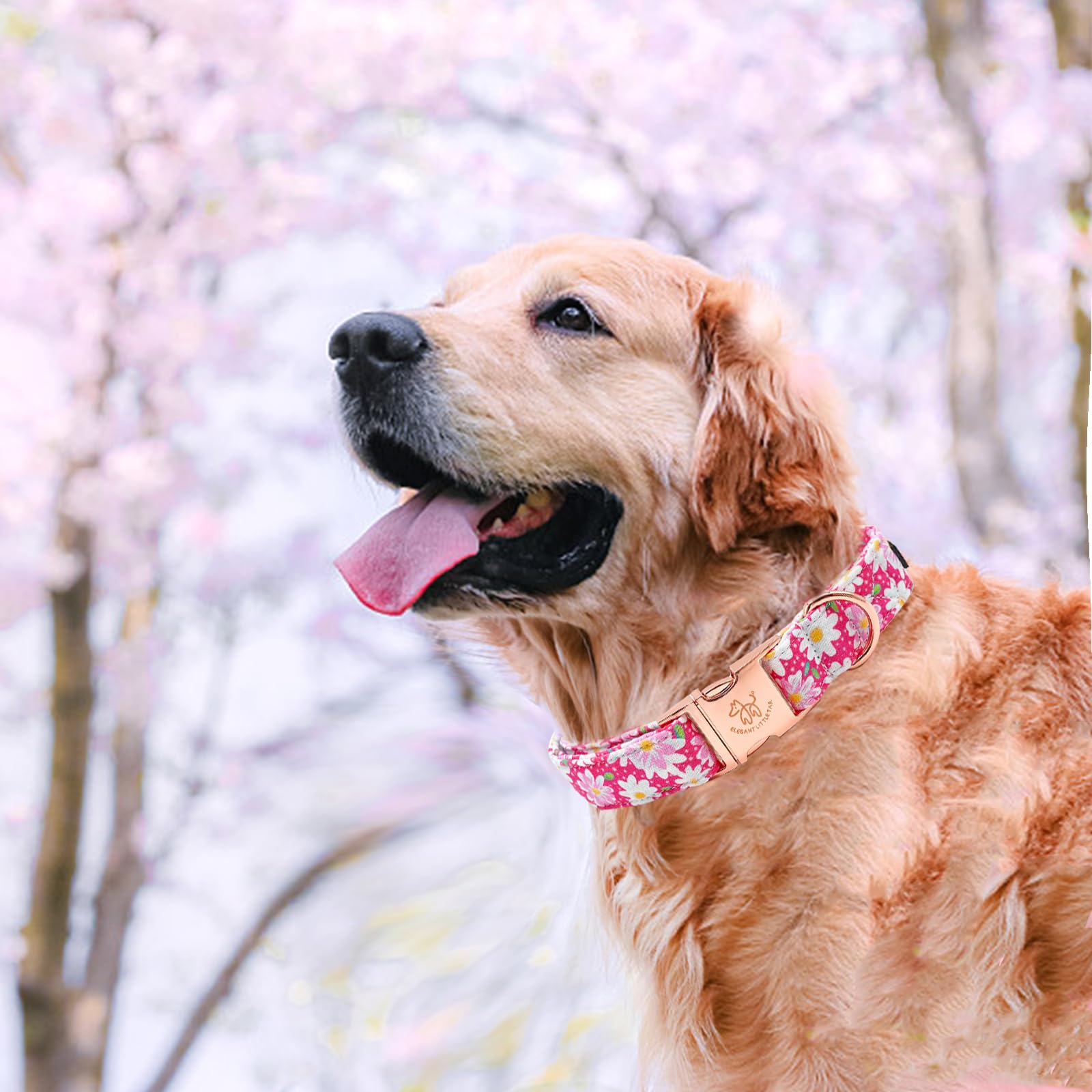 Elegant Little Tail Dog Collar, Pink Floral Pattern Pet Collar Durable Cute Dog Collars Summer Female Pet Gift Adjustable Dog Co