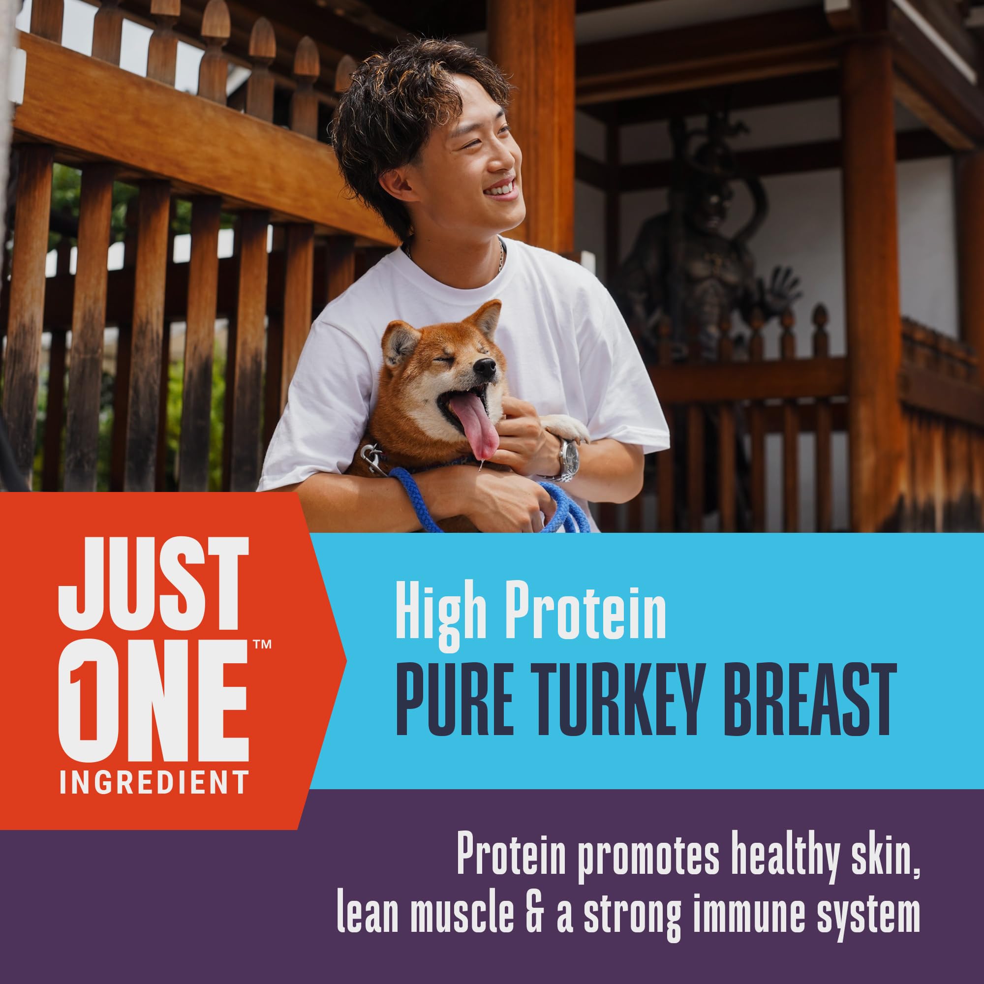 Whole Life Dog Just One Turkey Freeze Dried Dog Treats - Human Grade High Protein Food, Healthy Training Snacks, Freeze Dried Fo
