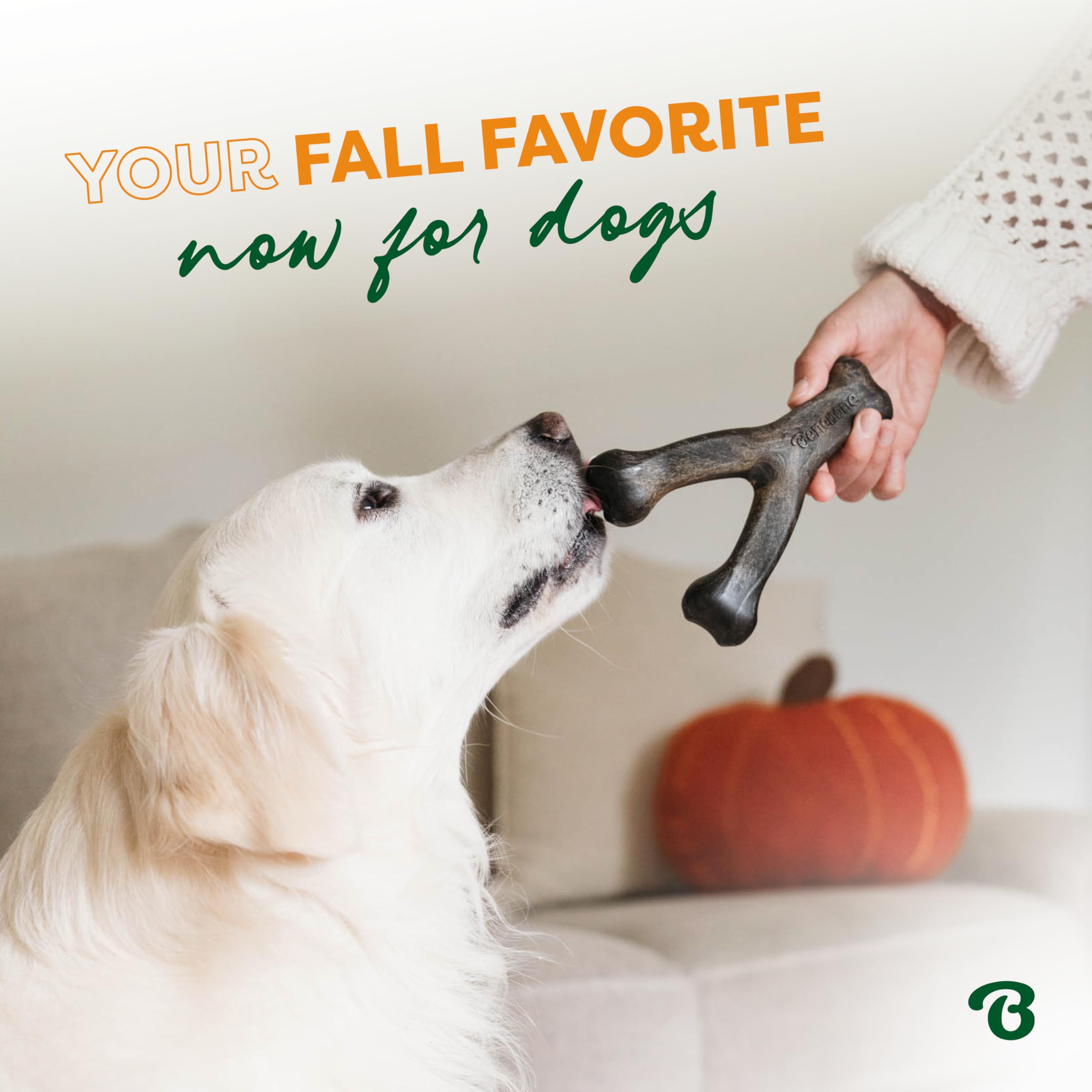 Benebone Pumpkin Spice Wishbone - Limited Edition Flavor, Durable Dog Chew Toy for Aggressive Chewers, Made in USA, Small