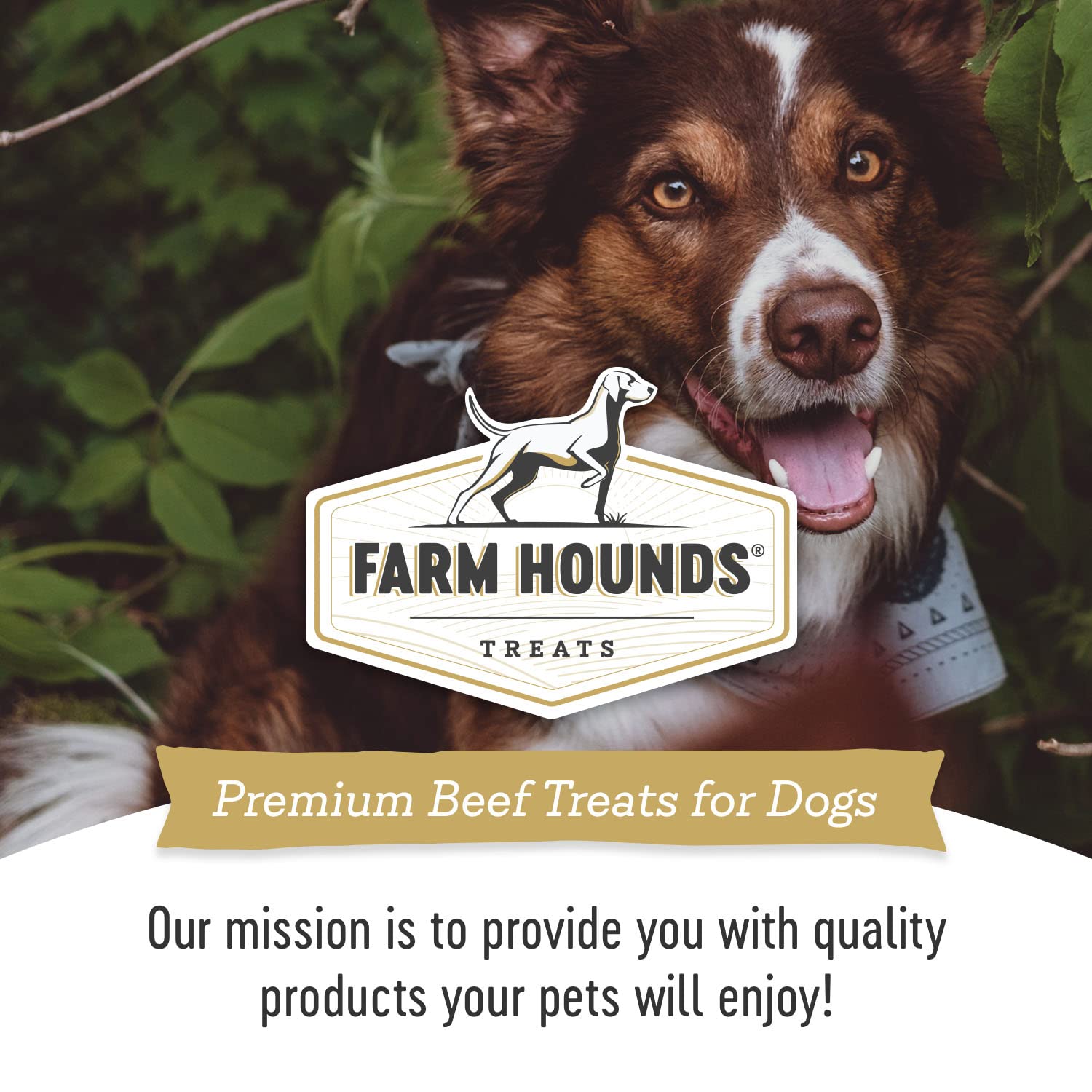 Farm Hounds - Beef Kidney - Premium Natural Beef Kidney Jerky For Dogs - Made From 100% Humanely Raised Cattle - Organ Treat - G