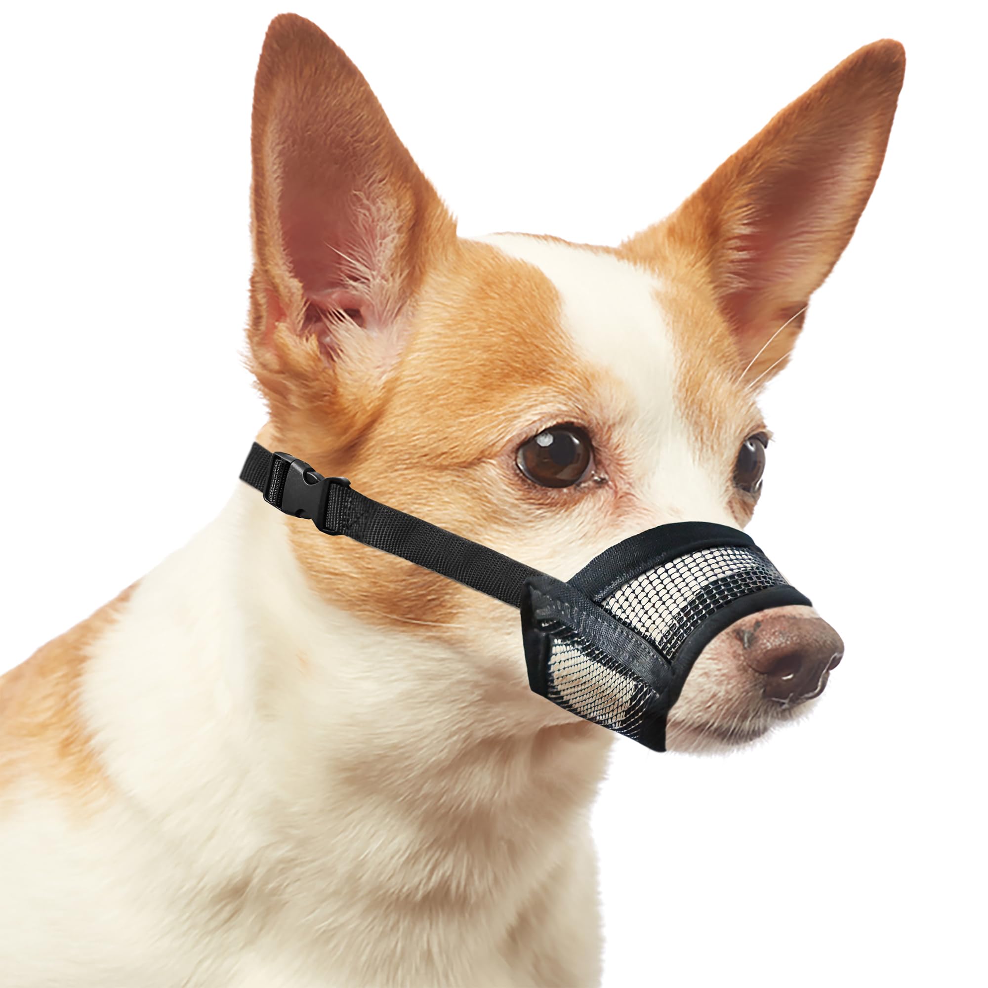 Evollax Dog Muzzle For Small Dogs - Soft Air Mesh Muzzle For Small Dog | Perfect For Barking And Biting Prevention