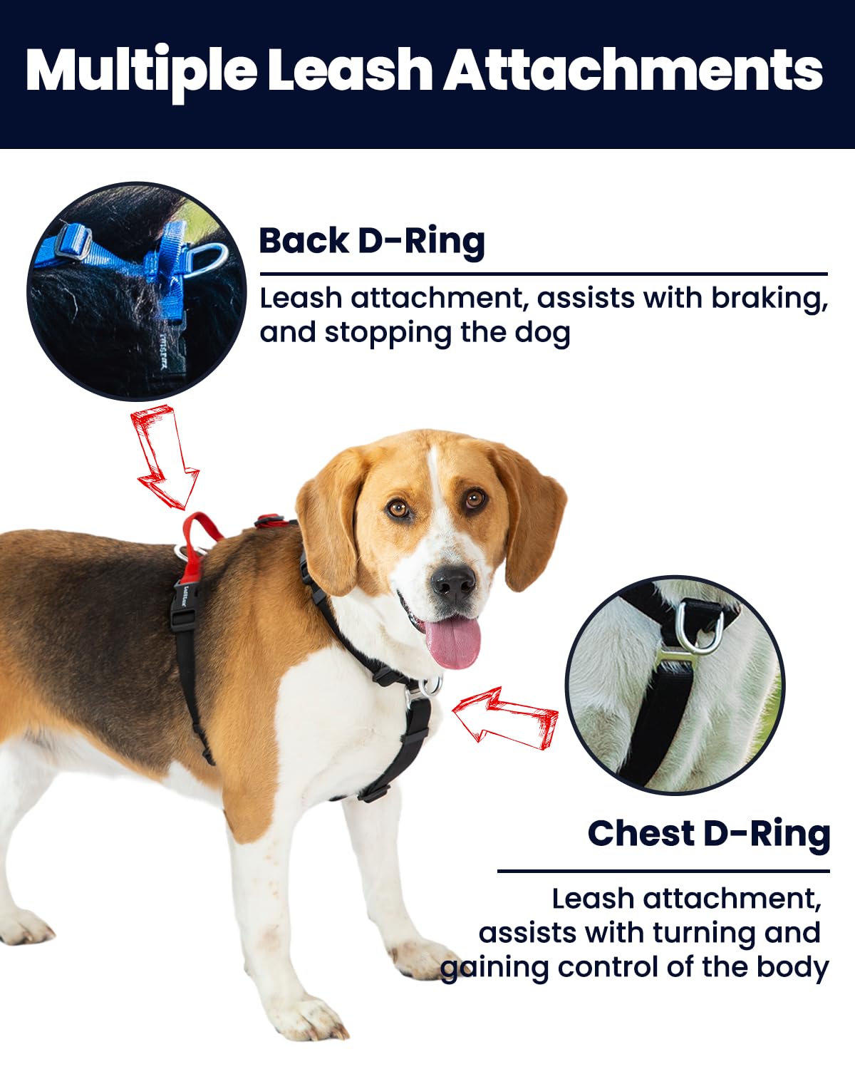 Lufelux Non-Restrictive Easy Walk Freedom No Pull Dog Harness, Keep Balance, Neck-Buckle, Six Points Adjustment, 2 Leash Clips F