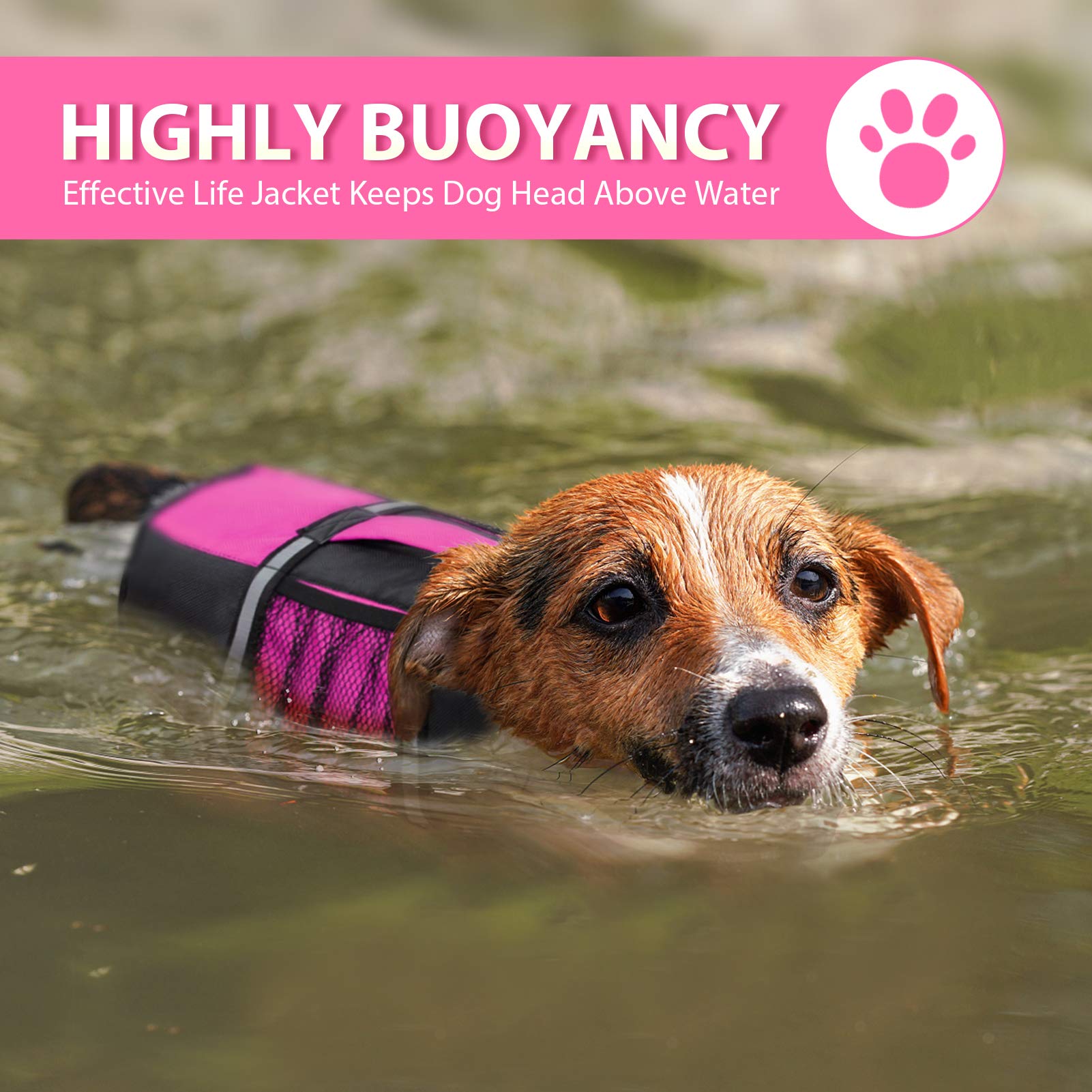 Queenmore Small Dog Life Jacket, Adjustable Pet Life Vest For Small And Medium Dogs With High Buoyancy, Rescue Handle, Reflectiv
