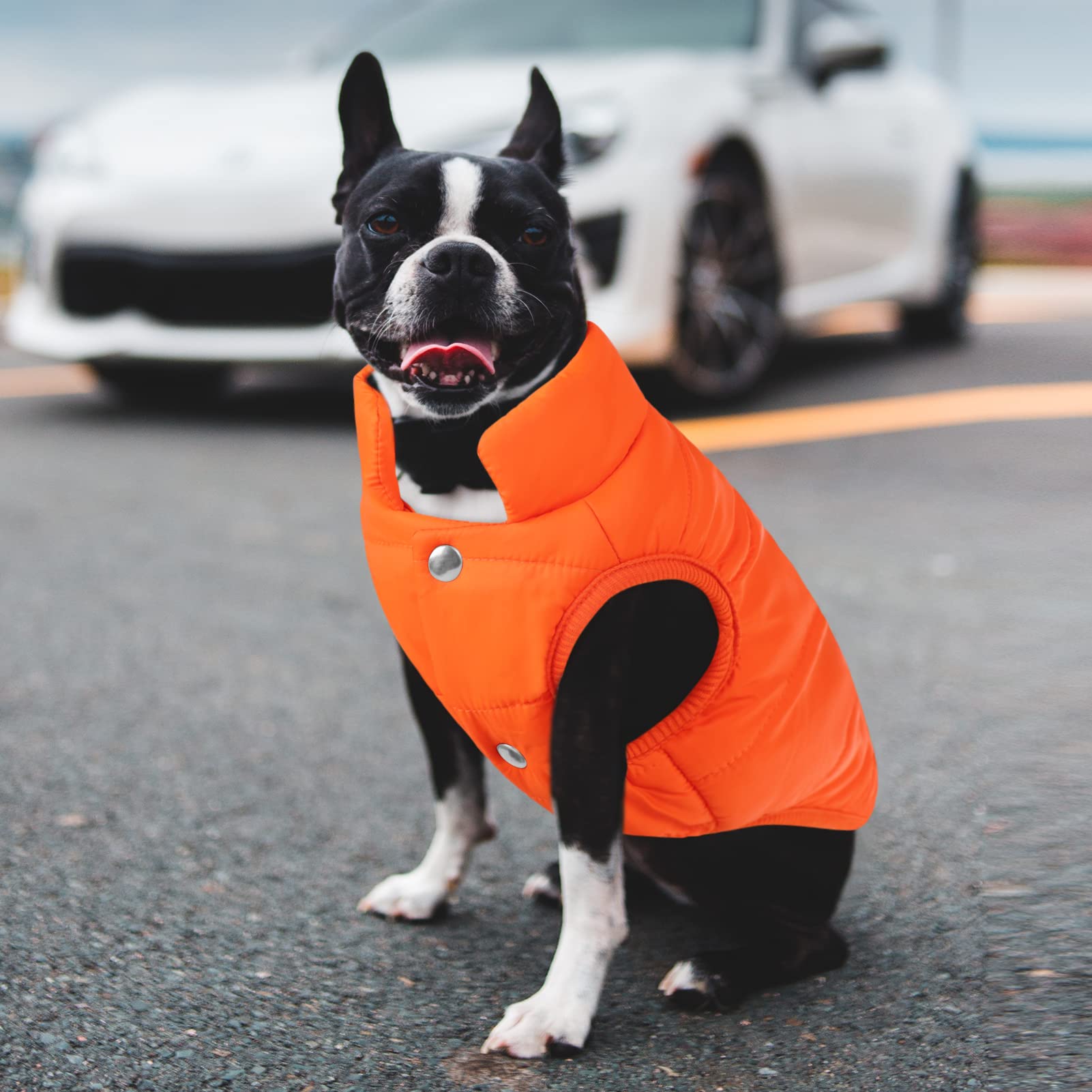 Asenku Windproof Dog Winter Coat Waterproof Dog Jacket Warm Dog Vest Cold Weather Pet Apparel With 2 Layers Fleece Lined For Small Medium Large Dogs (Orange, 3Xl)
