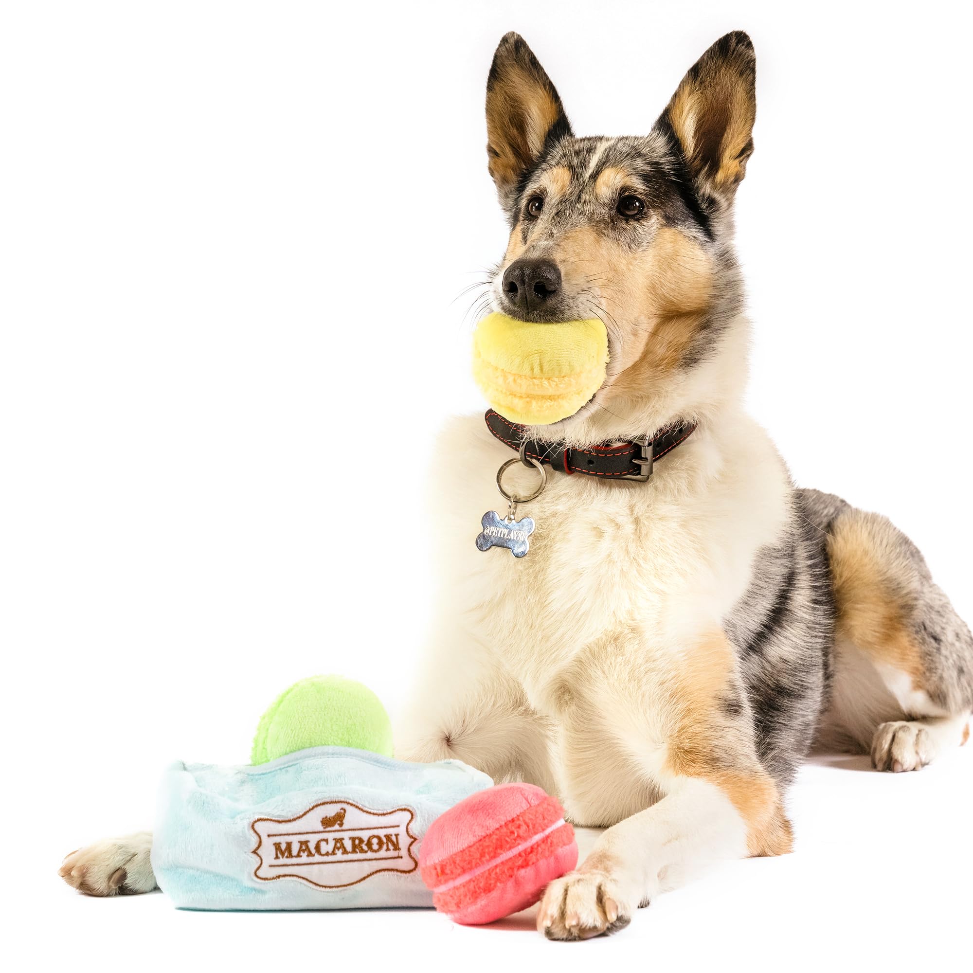 P.L.A.Y. Cute Plush Dog Toys - Coffee Shop Food Themed Durable Squeaker Chew Toy, Great for Puppies & Small, Medium, Large Dog B