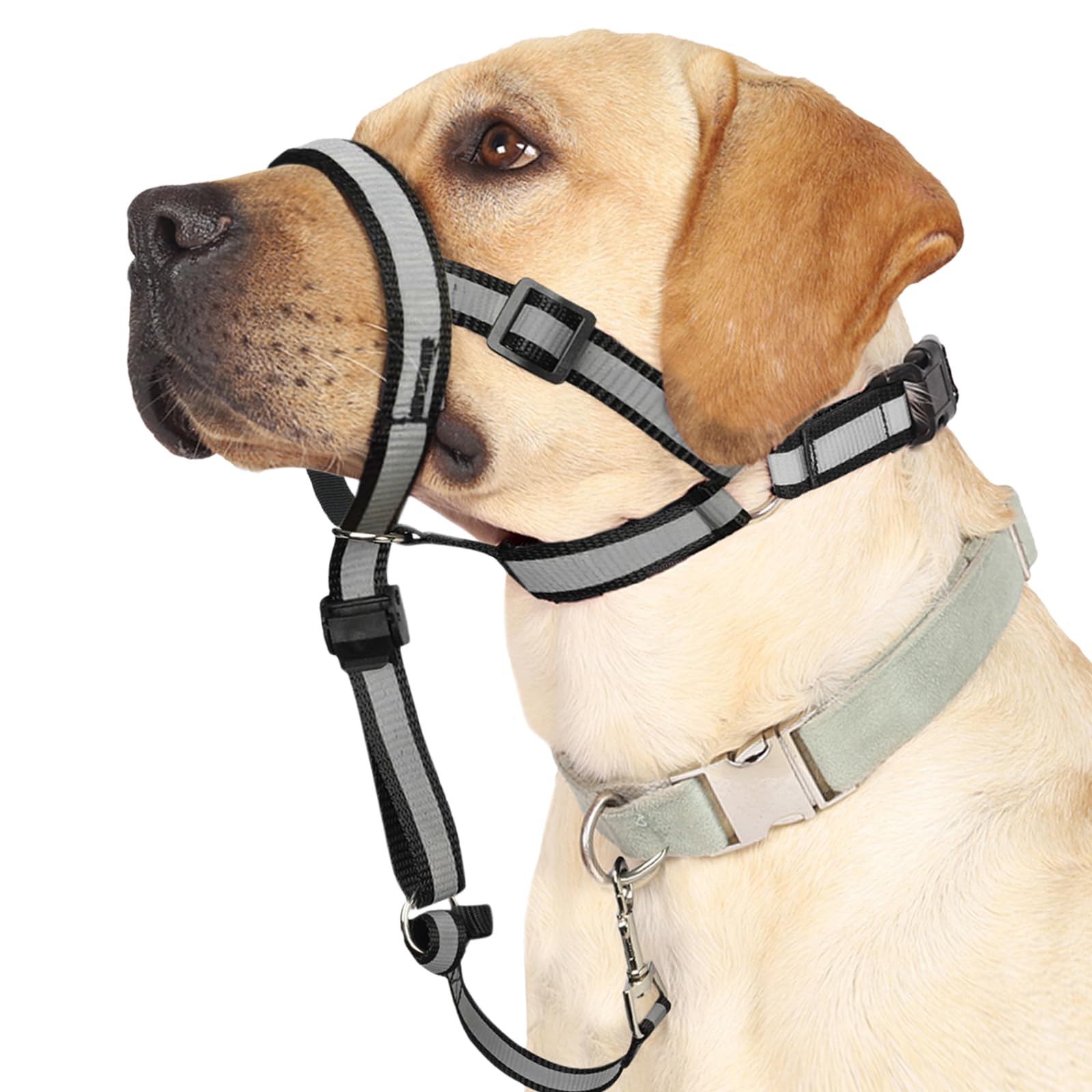 Barkless Reflective Head Collar, No Pull Collar For Medium Large Small Dogs, Anti-Pull Muzzle Leash For Medium Sized Breed, Adju
