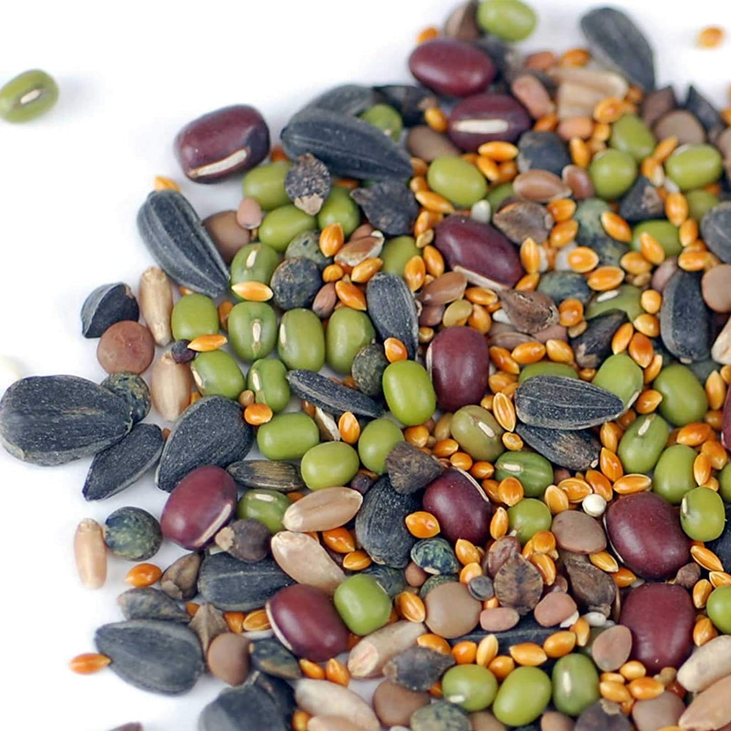 Handy Pantry Organic Birdseed - 1 Lb - Sprouting Bird Seed Mix for Small, Medium & Large Birds- Feed for Songbirds, Parakeets, P
