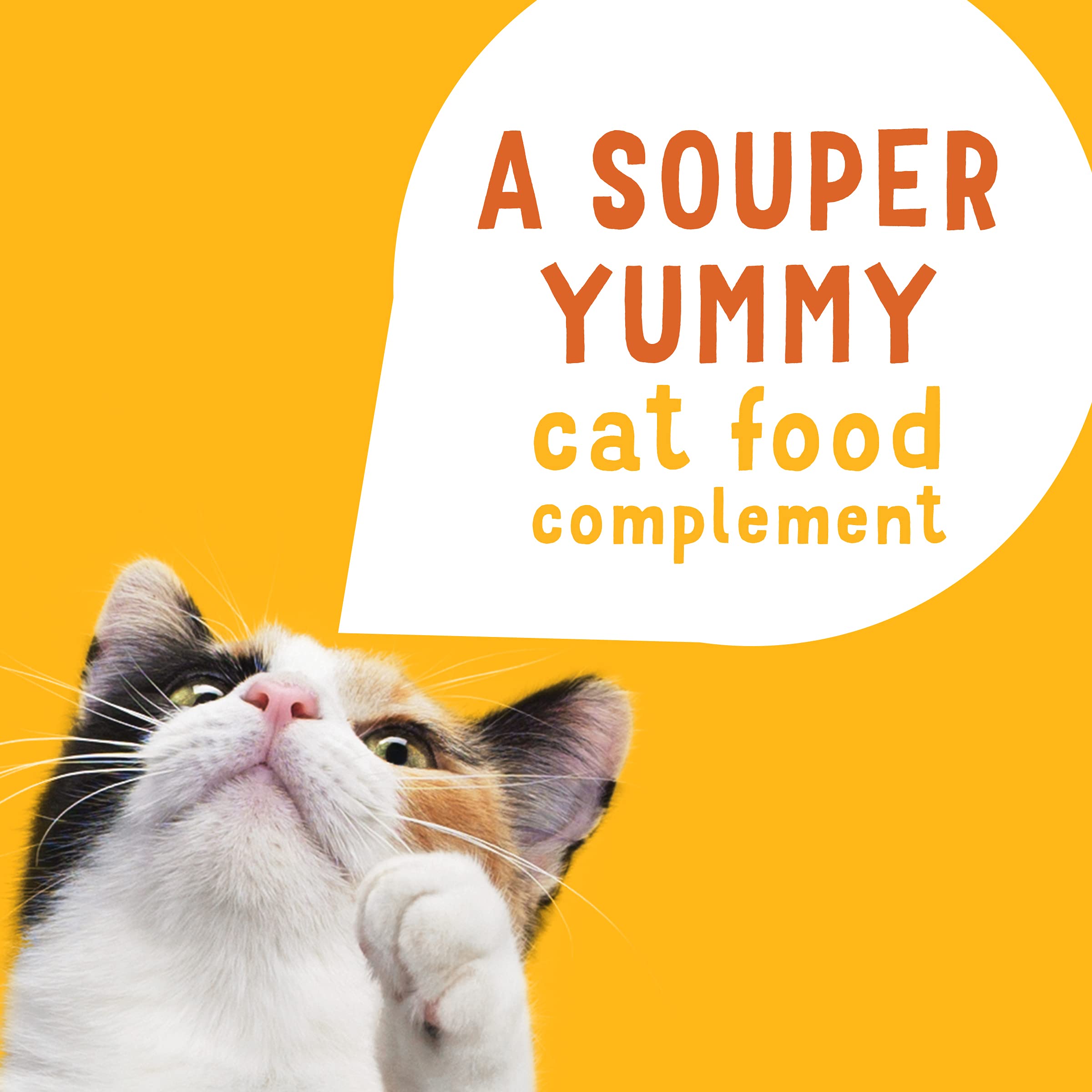 Purina Friskies Grain Free Wet Cat Food Lickable Cat Treats Variety Pack, Lil Soups With Salmon, Tuna or Shrimp - (Pack of 30)