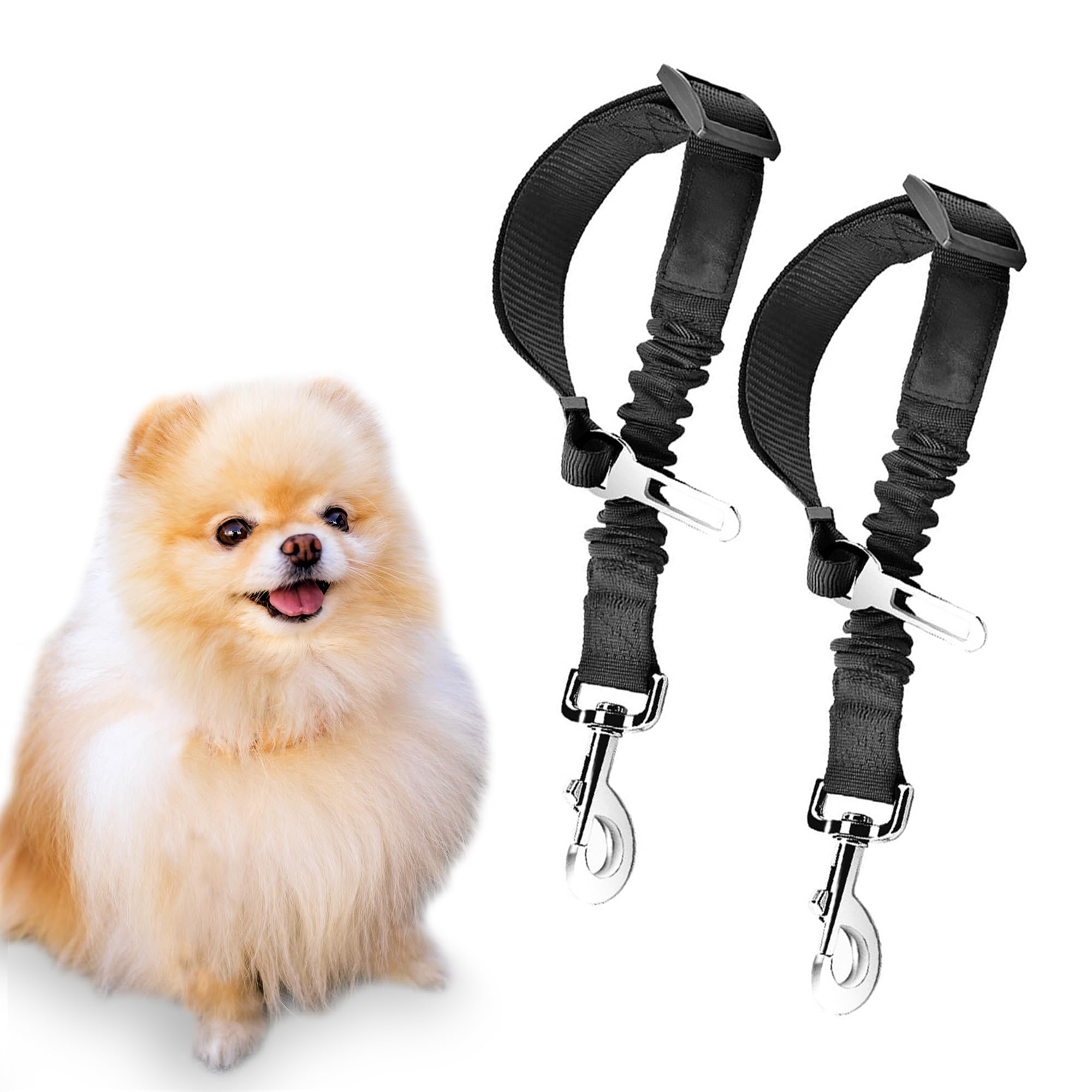 Sungrow Elastic Nylon Ferret Seat Belt, 24    - 36   , Adjustable Black Harness, Elastic Tether With Metal Buckles, 2 Pcs Per Pa