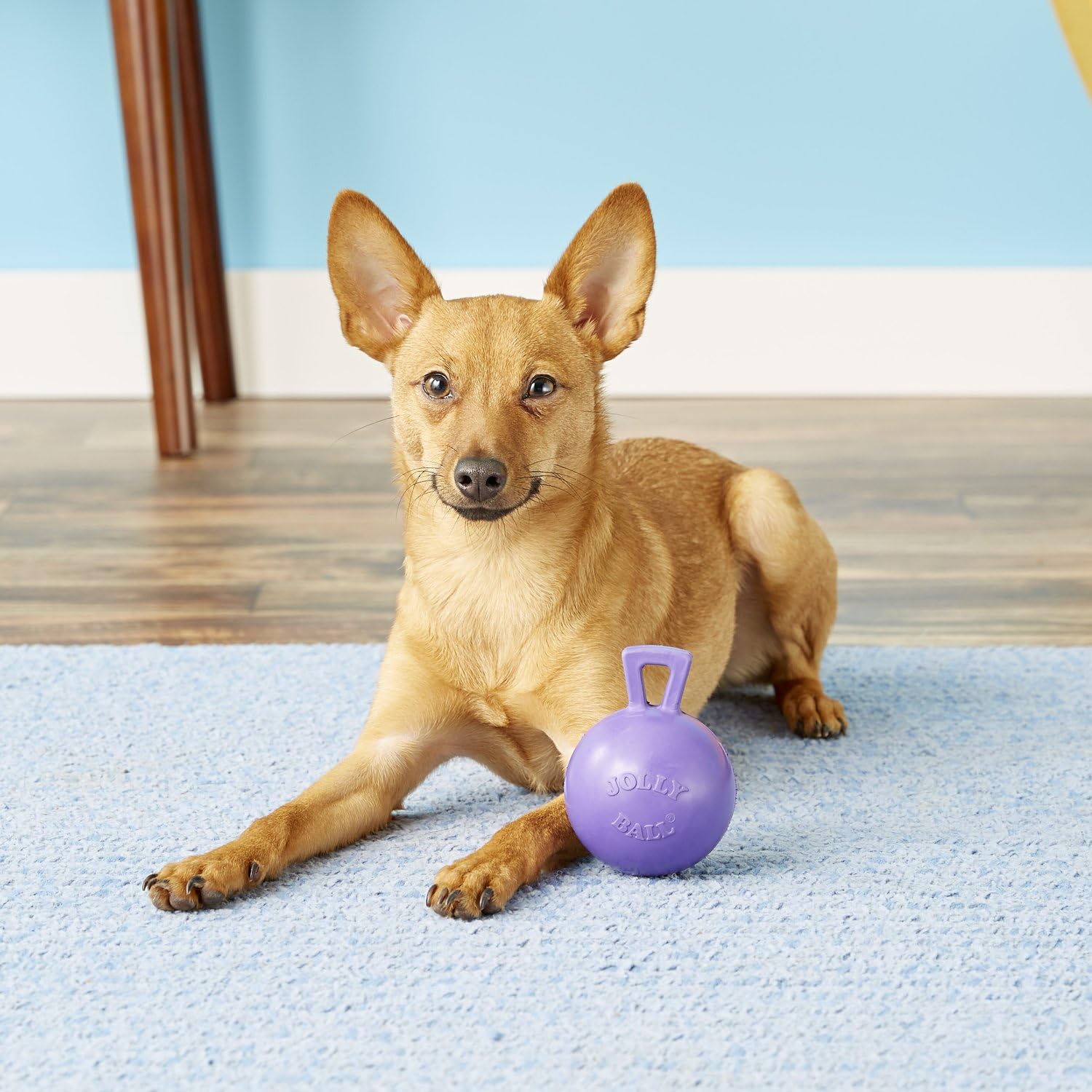 Jolly Pets Tug-N-Toss Heavy Duty Dog Toy Ball With Handle, 4 Inches/Petite, Purple (404 Pr)