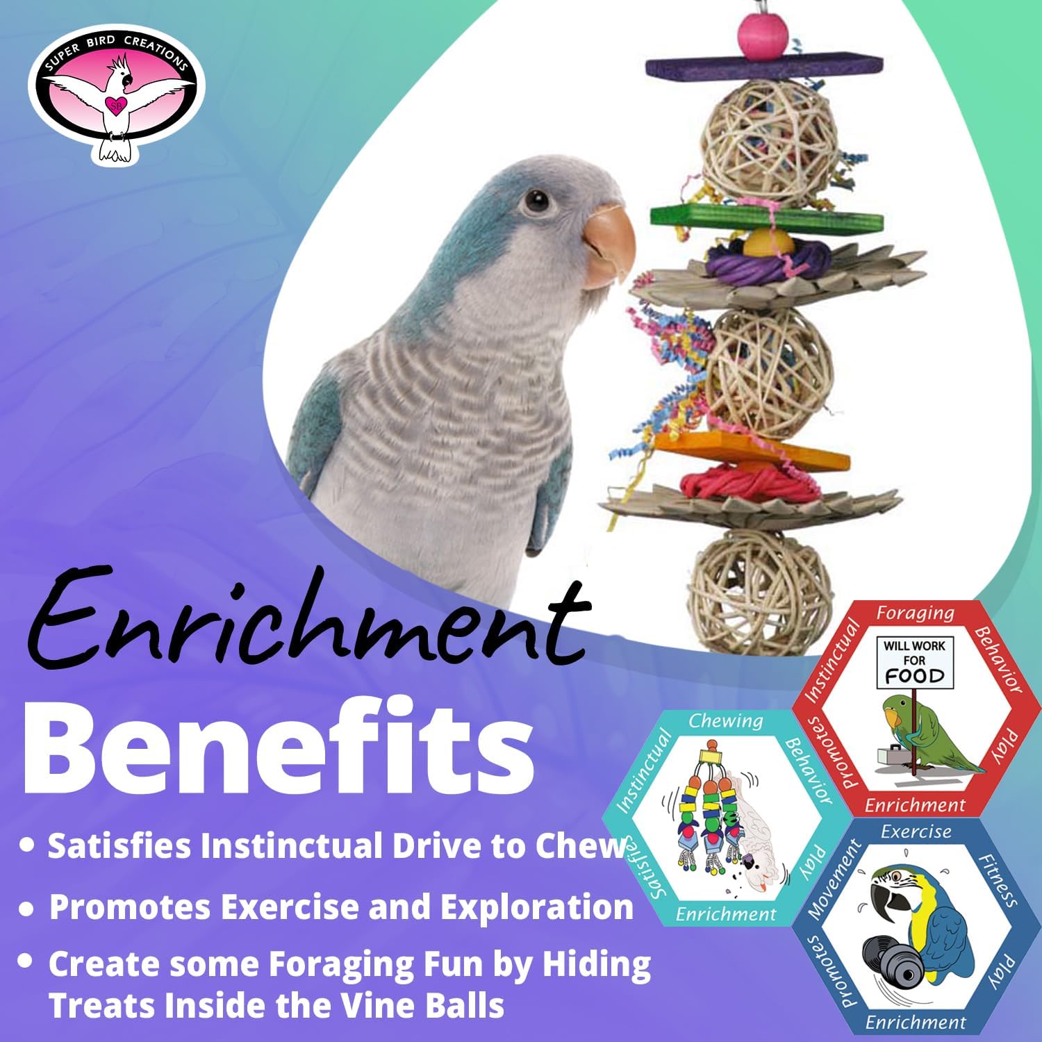 Super Bird Creations 12 By 5-Inch Crunch And Munch Bird Toy, Medium