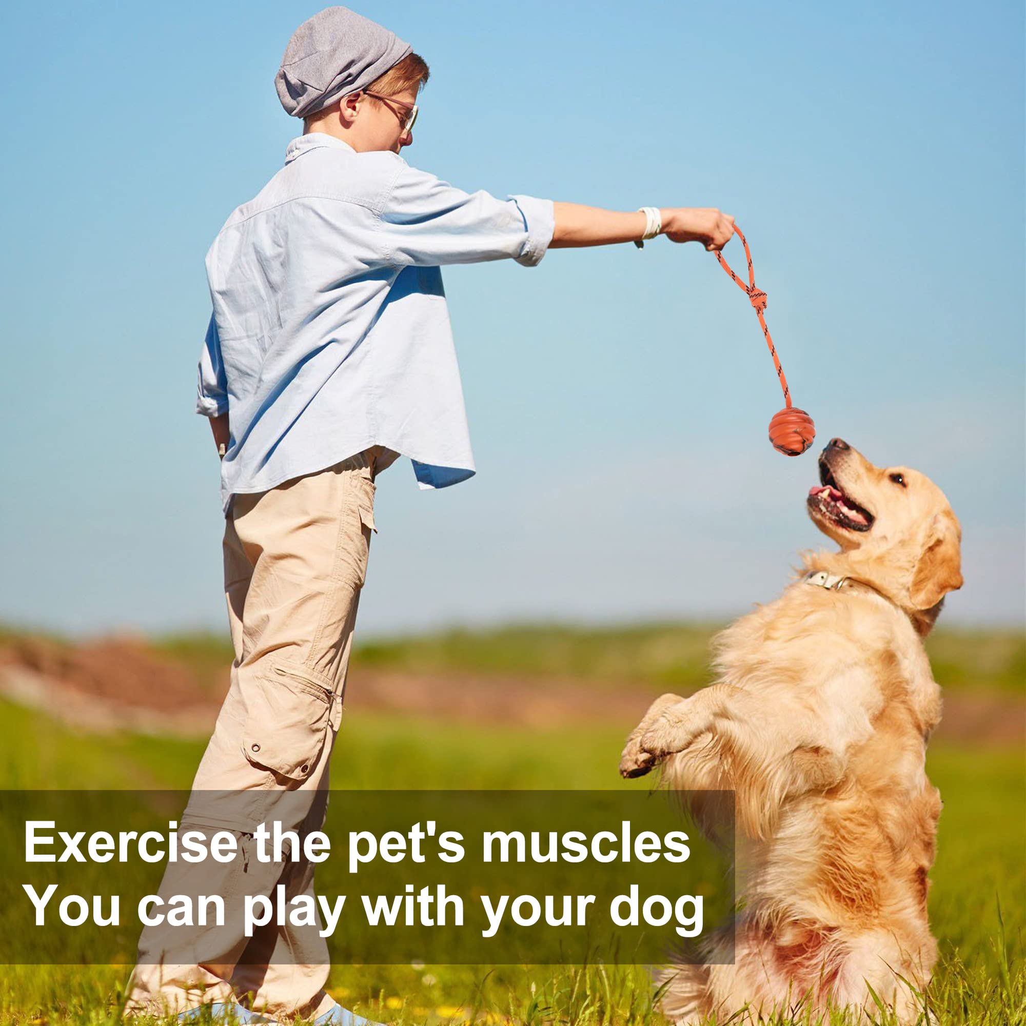 Primepets Dog Training Ball On Rope, 2 Pcs Solid Rubber Rope Ball, Tug Ball Toy For Medium And Small Dog, Tough Rope Toy, Non-Toxic And Durable Dog Toys