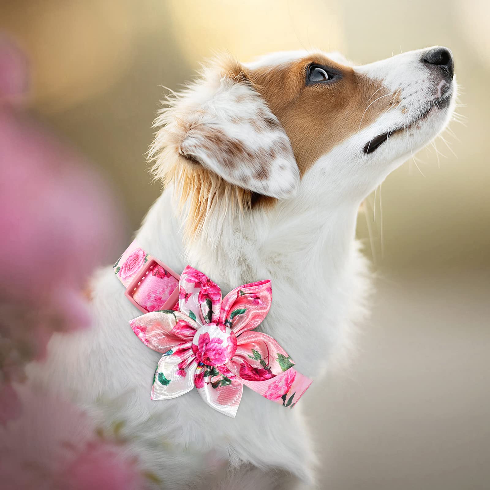 Pink Dog Collar Floral Girl Dog Collar With Rose Flower Bow Tie Dog Collar For Cute Girl Female Cats Dogs Spring Summer Season D