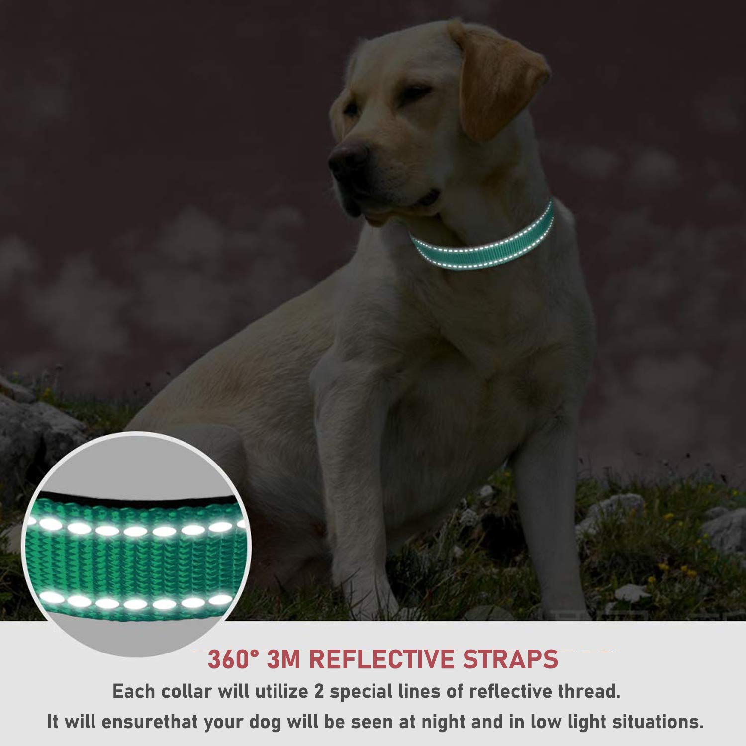 Reflective Dog Collar With Buckle Adjustable Safety Nylon Collars For Small Medium Large Dogs, Green M