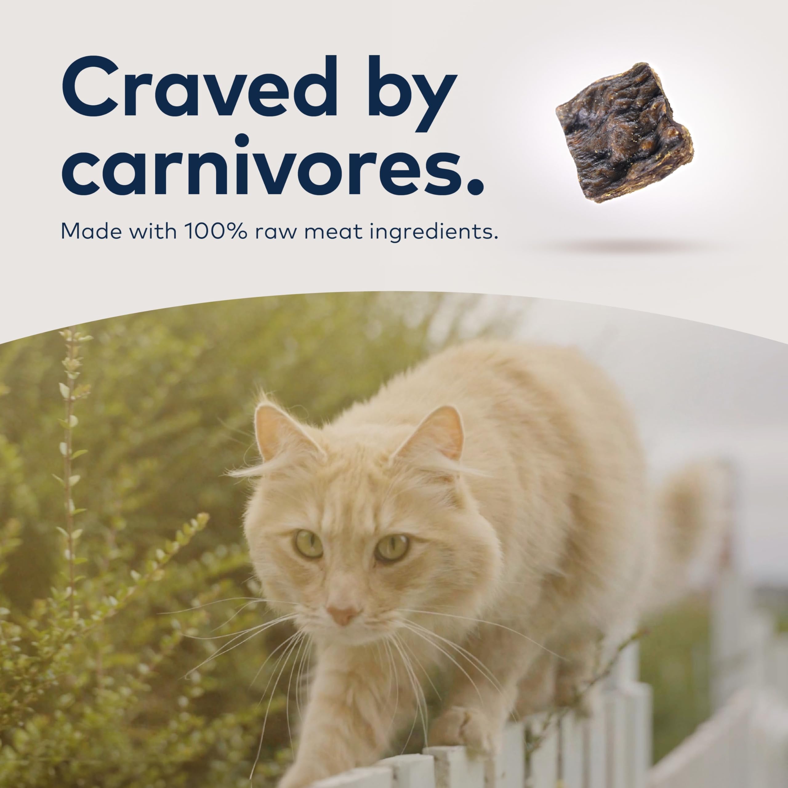 ZIWI Peak Air-Dried Cat Food - Lamb - All Natural, High Protein, Grain Free, Limited Ingredient w/ Superfoods (35.2oz)