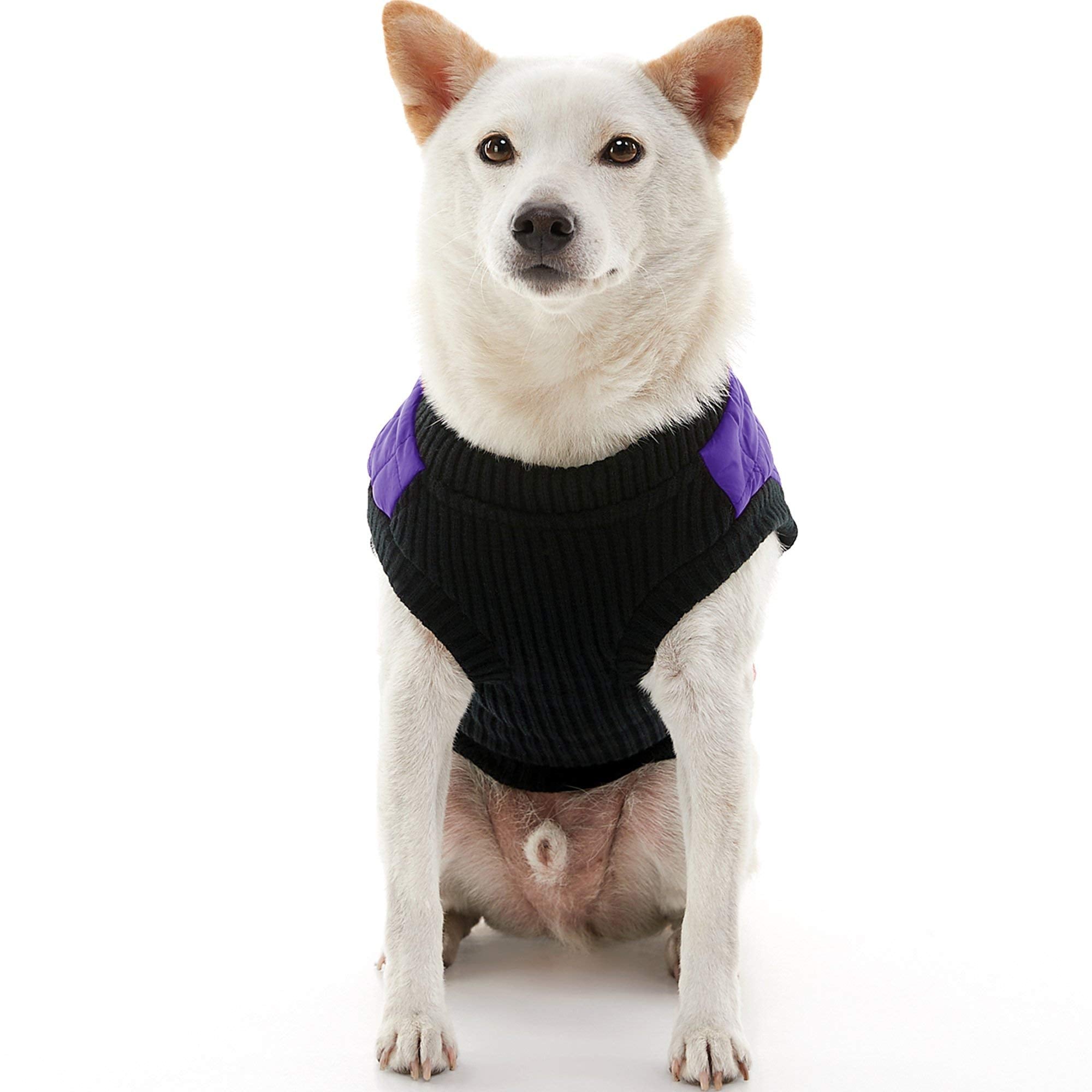 Gooby Fashion Vest Dog Jacket - Violet, X-Large - Warm Zip Up Dog Bomber Vest With Dual D Ring Leash - Winter Water Resistant Small Dog Sweater - Dog Clothes For Small Dogs Boy Or Medium Dogs