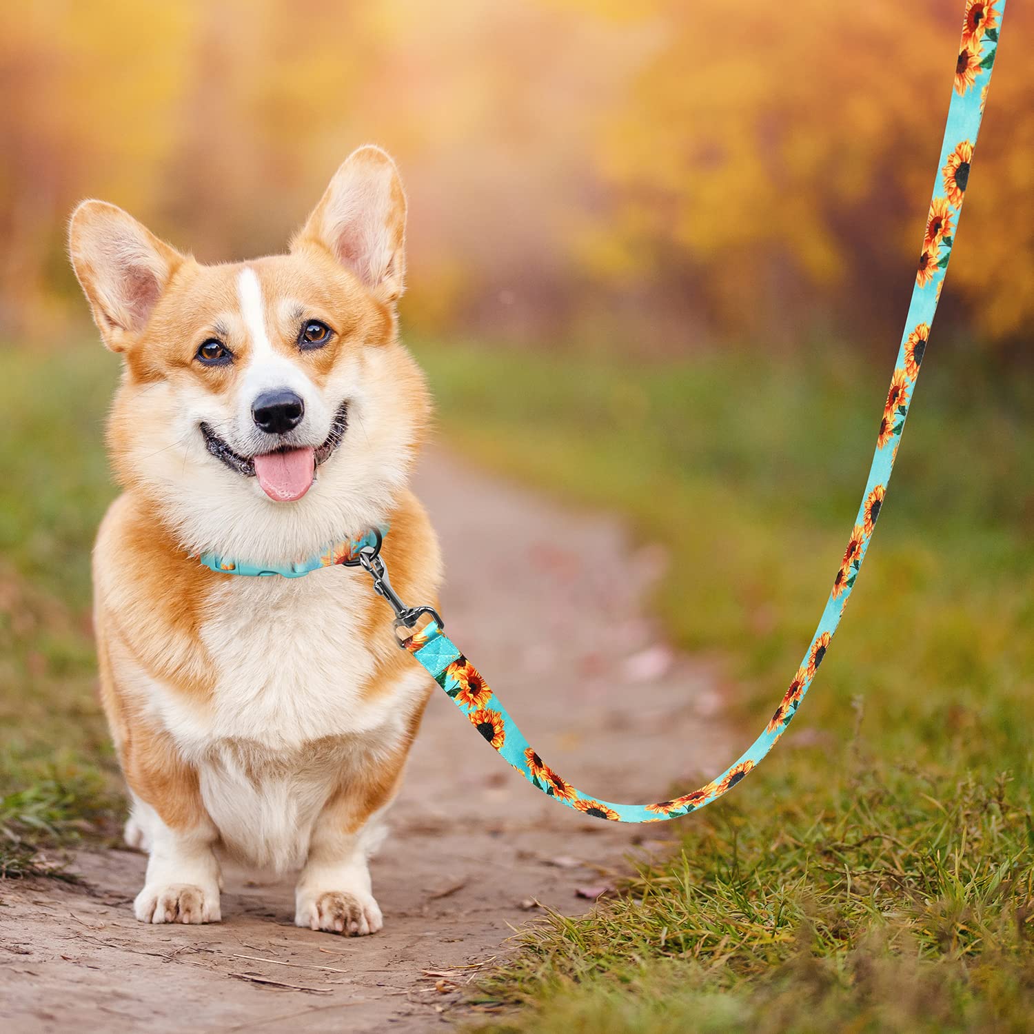 6 Ft/Foot Navy Blue Dog Leash For Boy Large Breed Dogs
