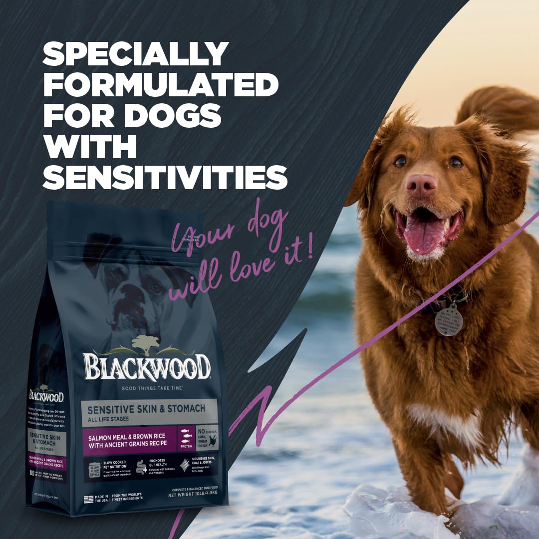 Blackwood Sensitive Skin & Stomach Dry Dog Food, Salmon Meal & Brown Rice with Ancient Grains, 4.5 Pound Bag with Prebiotics & P