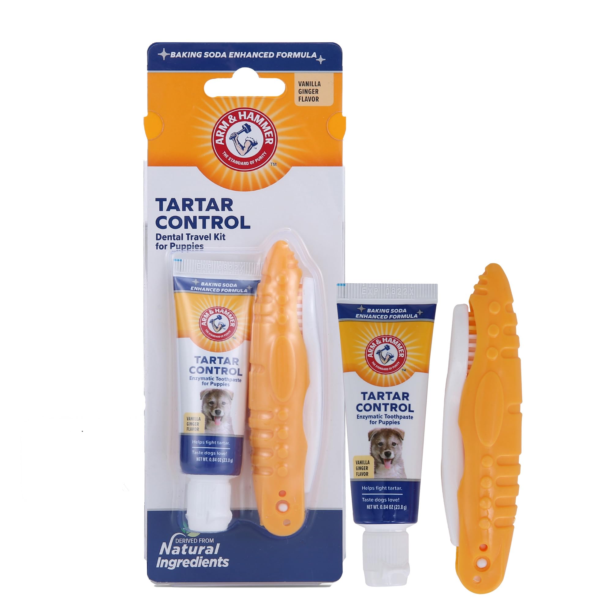 Arm & Hammer for Pets Clinical Care Travel Dental Kit for Dogs in Vanilla Ginger Flavor | Dog Toothbrush and Toothpaste Set Safe