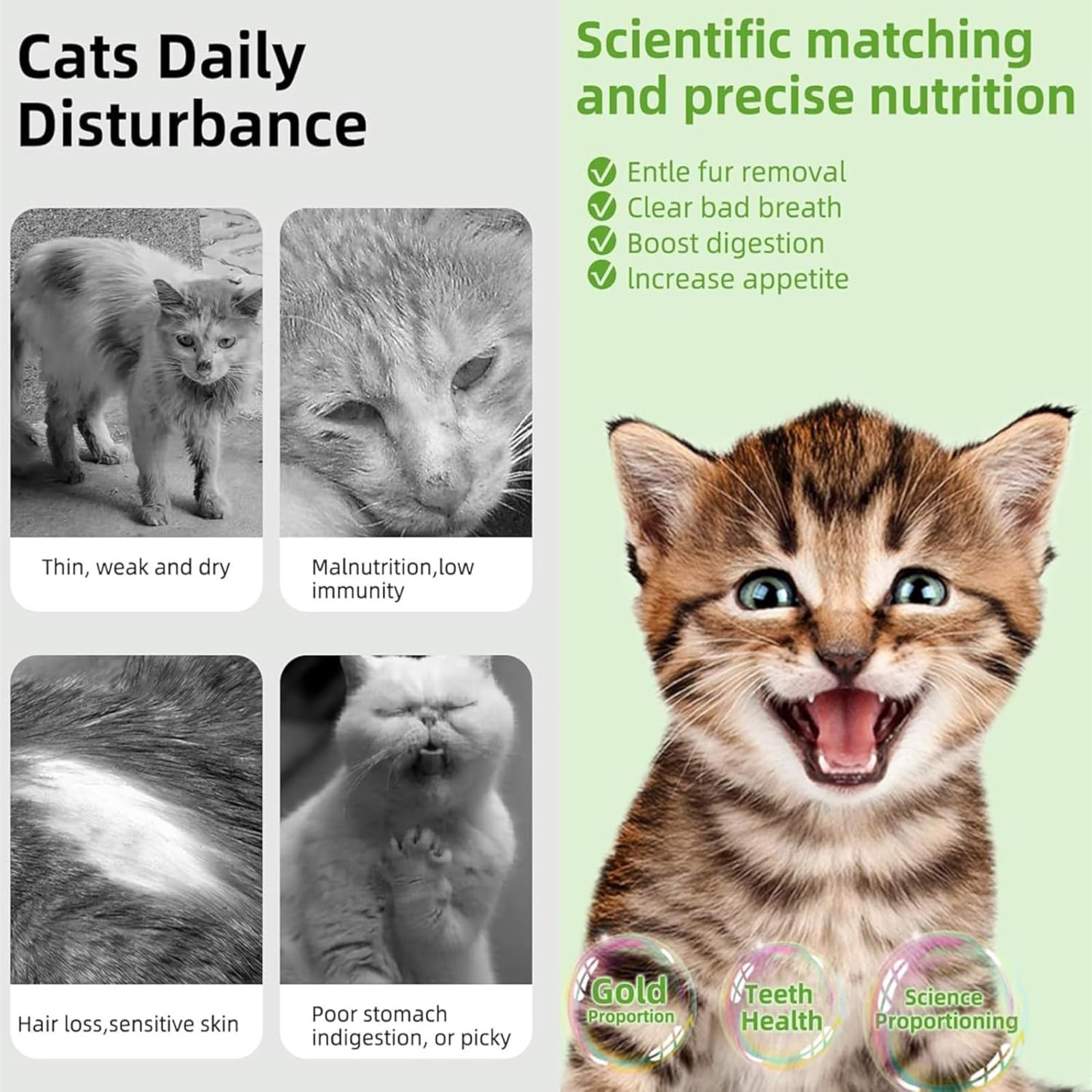 GREMBEB Cats Treat 17Pack 100g Cat Grass Teething Stick for Hairball Removal Kitten Toy Freeze Dried Catnip Toys Chew Dental Foo