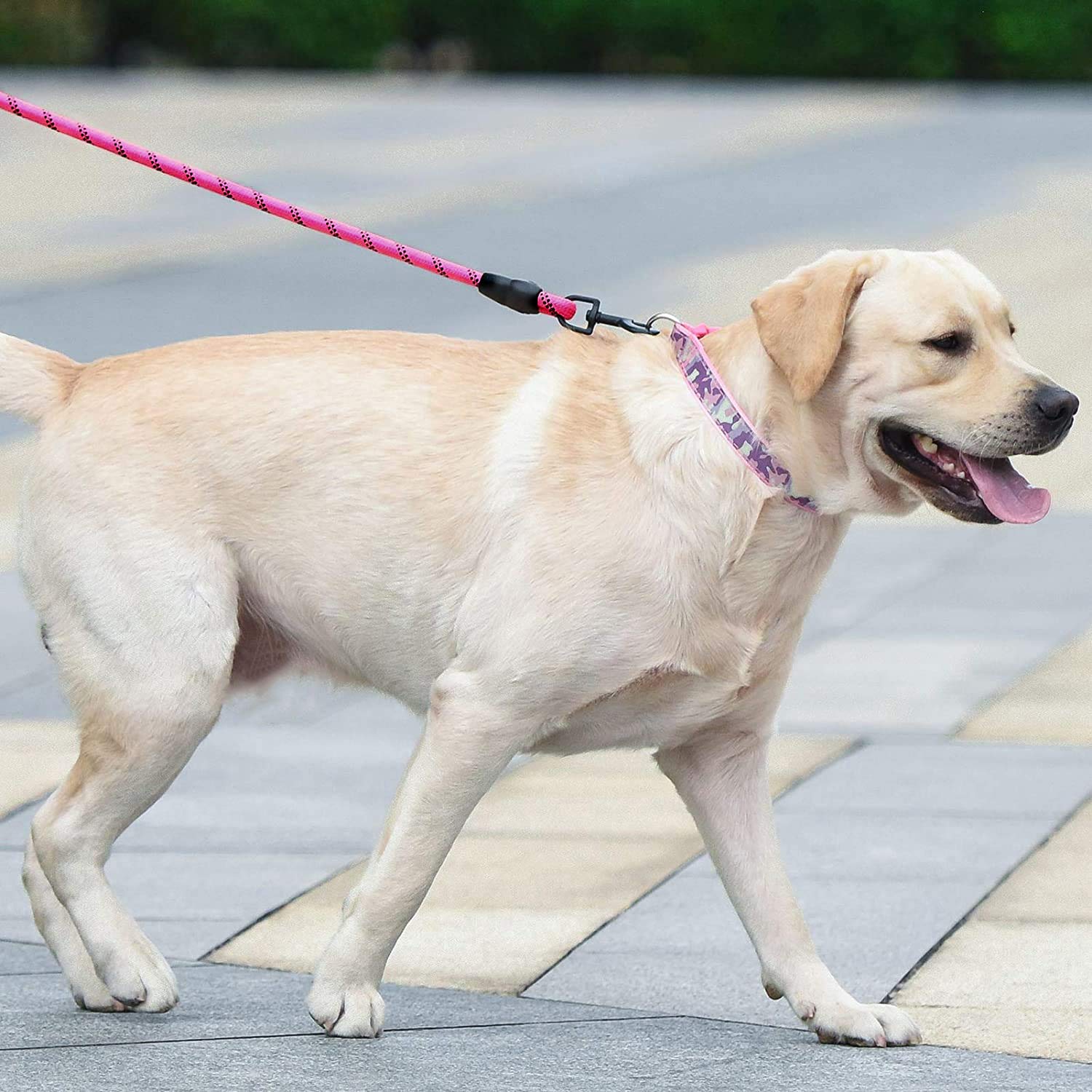 CBBPET Breathable Dog Collar,Cute Dog Collar,Adjustable Nylon Outdoor Adventure Pet Collar, Lightweight,2 Sizes