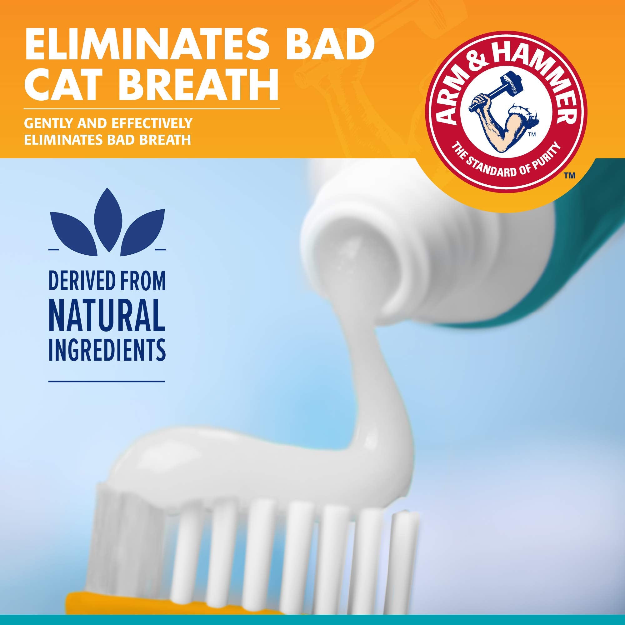 Arm & Hammer for Pets Dental Kit for Cats | Eliminates Bad Breath | 3 Piece Set Includes Cat Toothpaste, Cat Toothbrush & Cat Fi