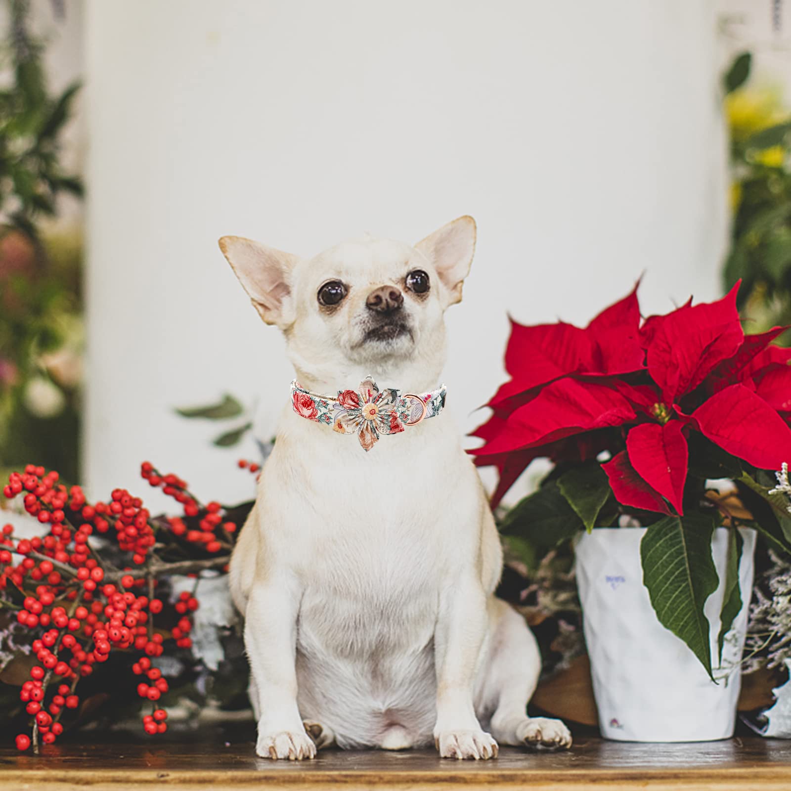 Elegant Little Tail Vintage Floral Dog Collar With Flower, Girl Comfortable Dog Flower, Dog Collar Flower Adjustable Dog Collars