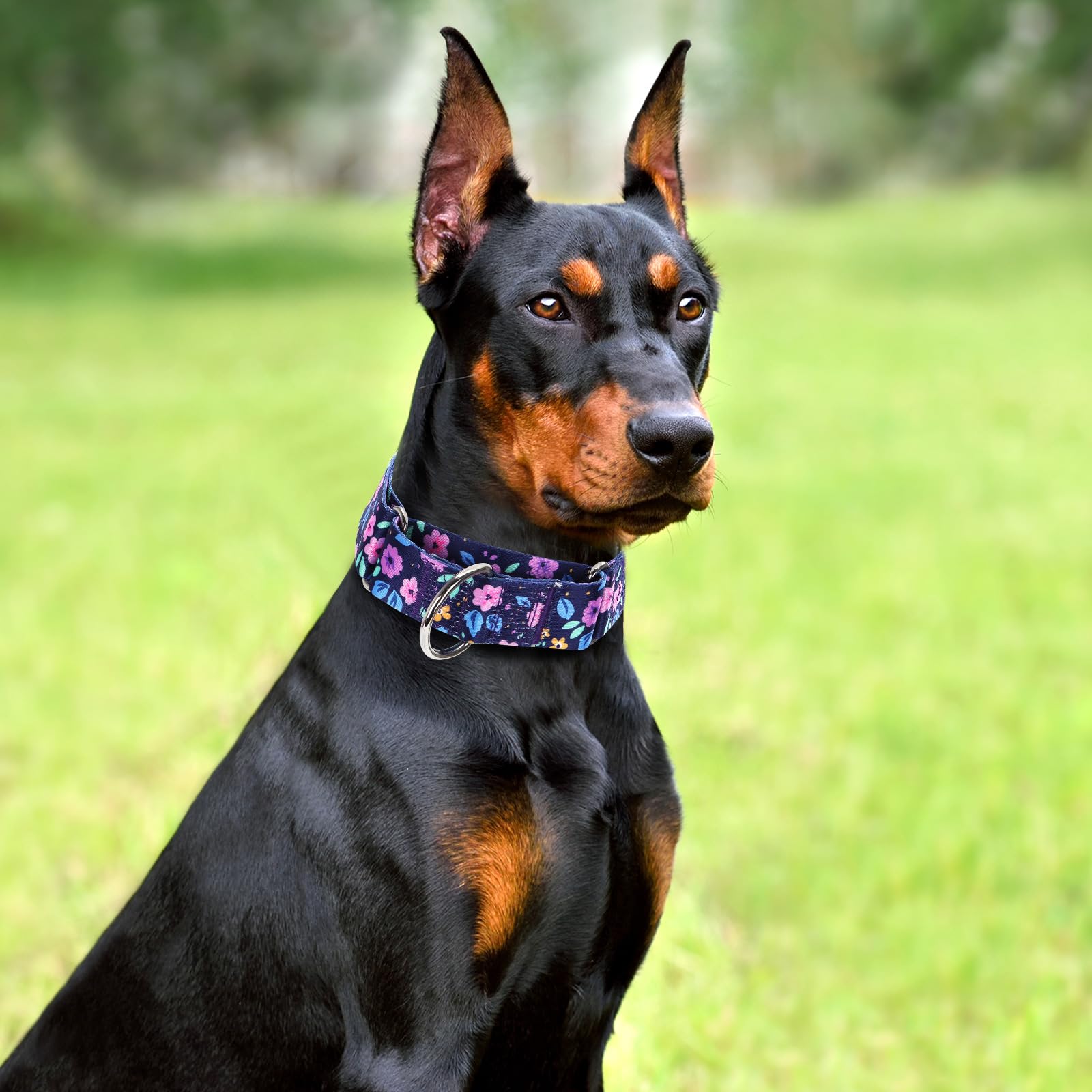 Wide 1.5 Girl Martingale Collar For Dogs,No Pull Heavy Duty Floral Dog Collar For Medium Large Extra Large Female Dogs L