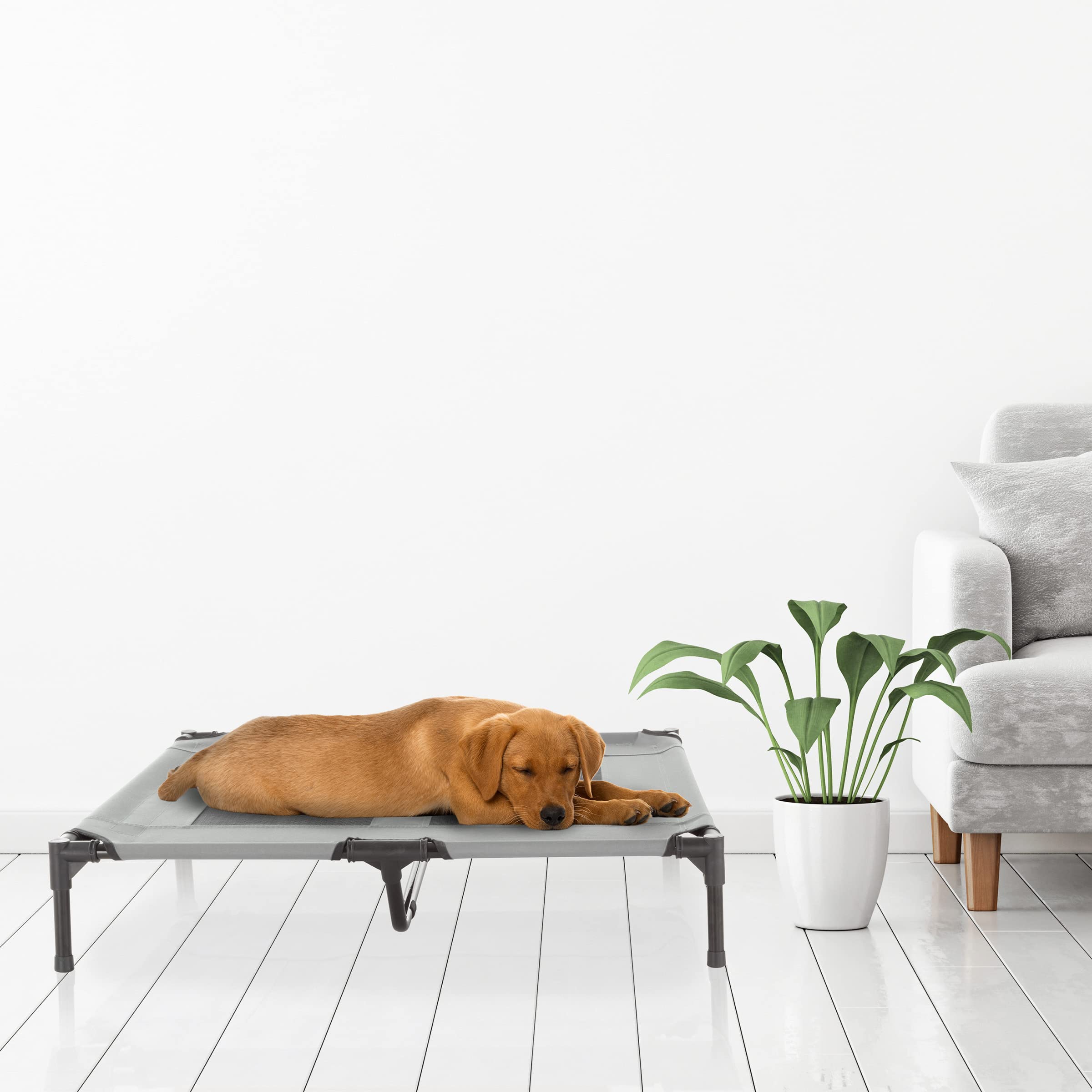 Elevated Dog Bed - 36X29.75-Inch Portable Pet Bed With Non-Slip Feet - Indoor/Outdoor Dog Cot Or Puppy Mattress For Pets Up To 8