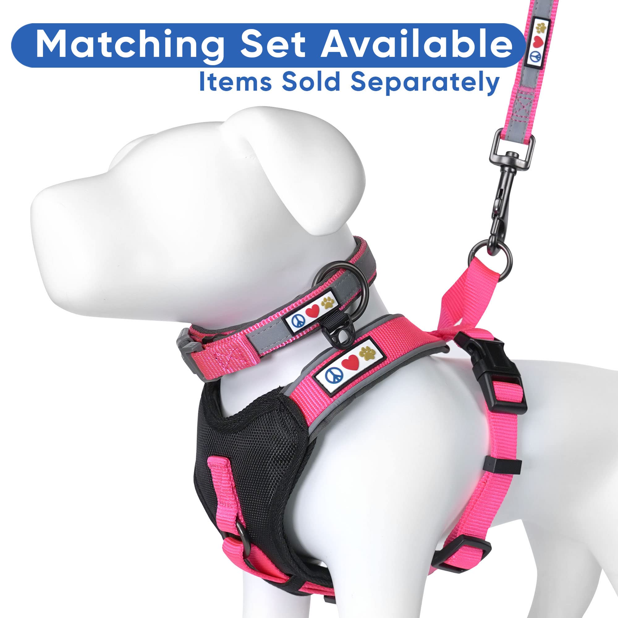Pawtitas 6 Ft Padded Dog Leash With Comfortable Neoprene Padding Handle - Pink Lead | Small Reflective Dog Leash With Highly Reflective Band Perfect For Extra Small And Small Dogs And Puppies.