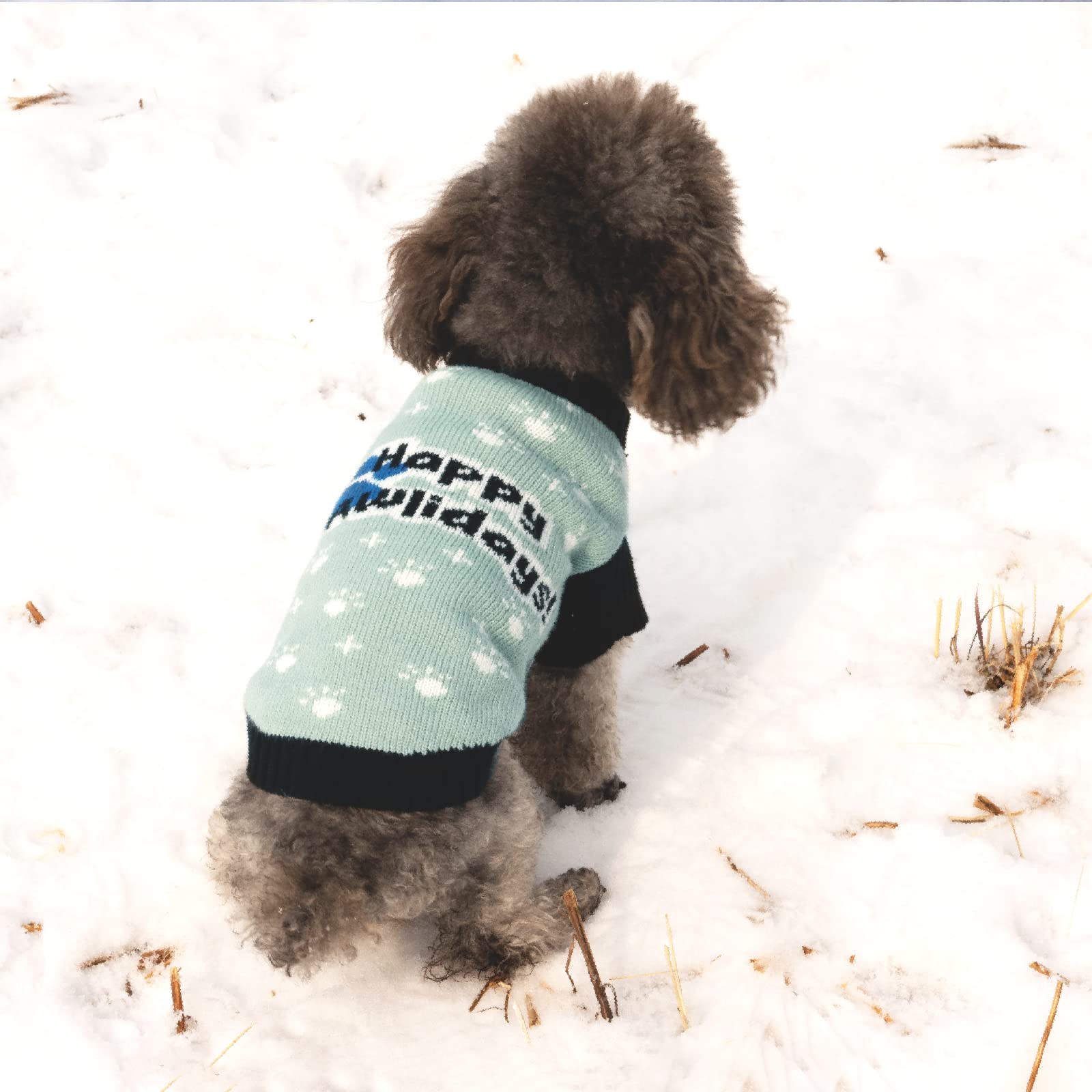 Cutebone Dog Sweater Happy Pawliday Knit Puppy Clothes For Medium Dogs Pullover Pet Winter Clothes With Harness Hole