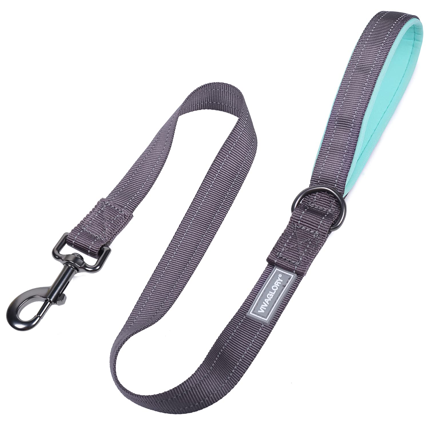 VIVAGLORY Dog Training Leash With Comfortable Padded Handle, Heavy Duty Reflective for Safety Walking, Medium & Large Dogs