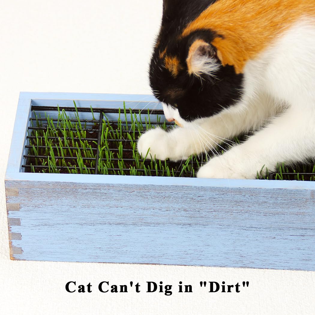 BENPIN Wooden Cat Grass Planter (no Seeds Included) with Anti Digging Design, and Removable Plastic Liner, Wheat Grass Growing P