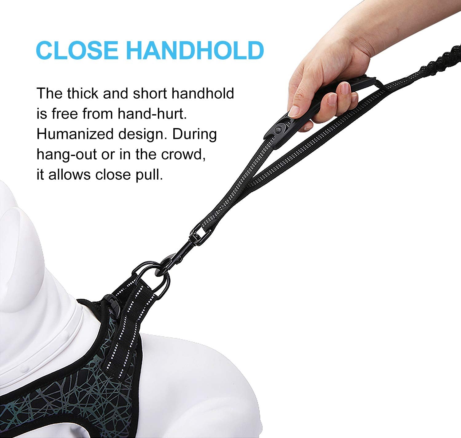 LEADSOM 6FT Dog Leash, Heavy Duty Elastic with Shock Absorbing Padded Handle, Black Nylon for Medium and Large Dogs