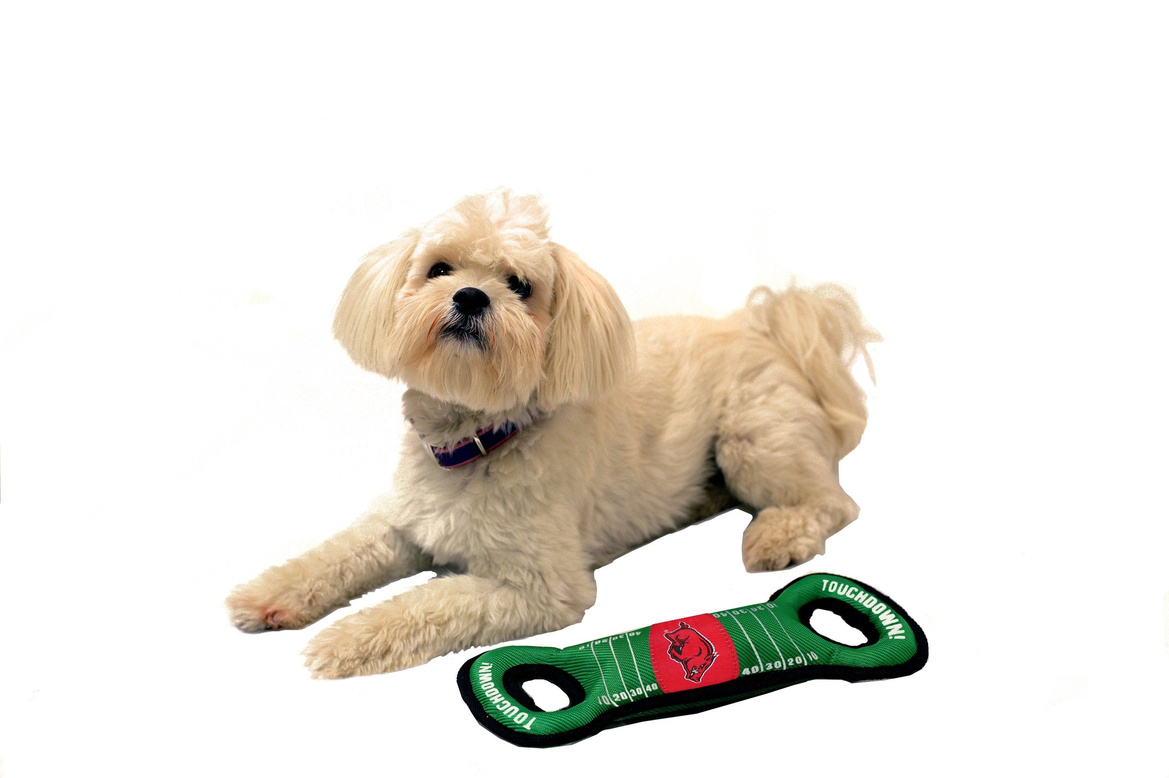 Pets First Ncaa Football Field Dog Toy With Squeaker. - Arkansas Razorbacks -For Tug, Toss, And Fetch. - Tough& Durable Pet Toy