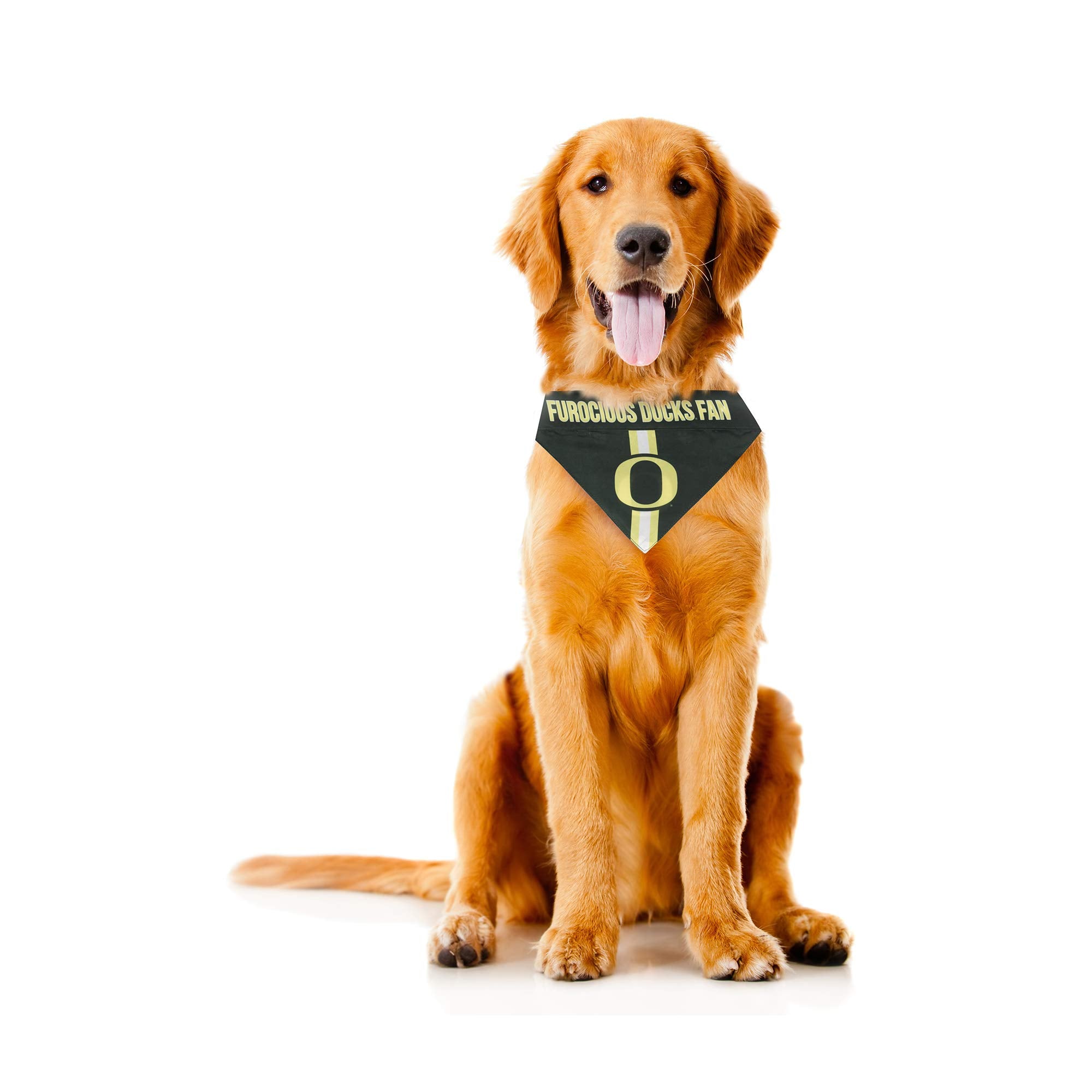 Littlearth Unisex-Adult NCAA Oregon Ducks Pet Bandana, Team Color, X-Small