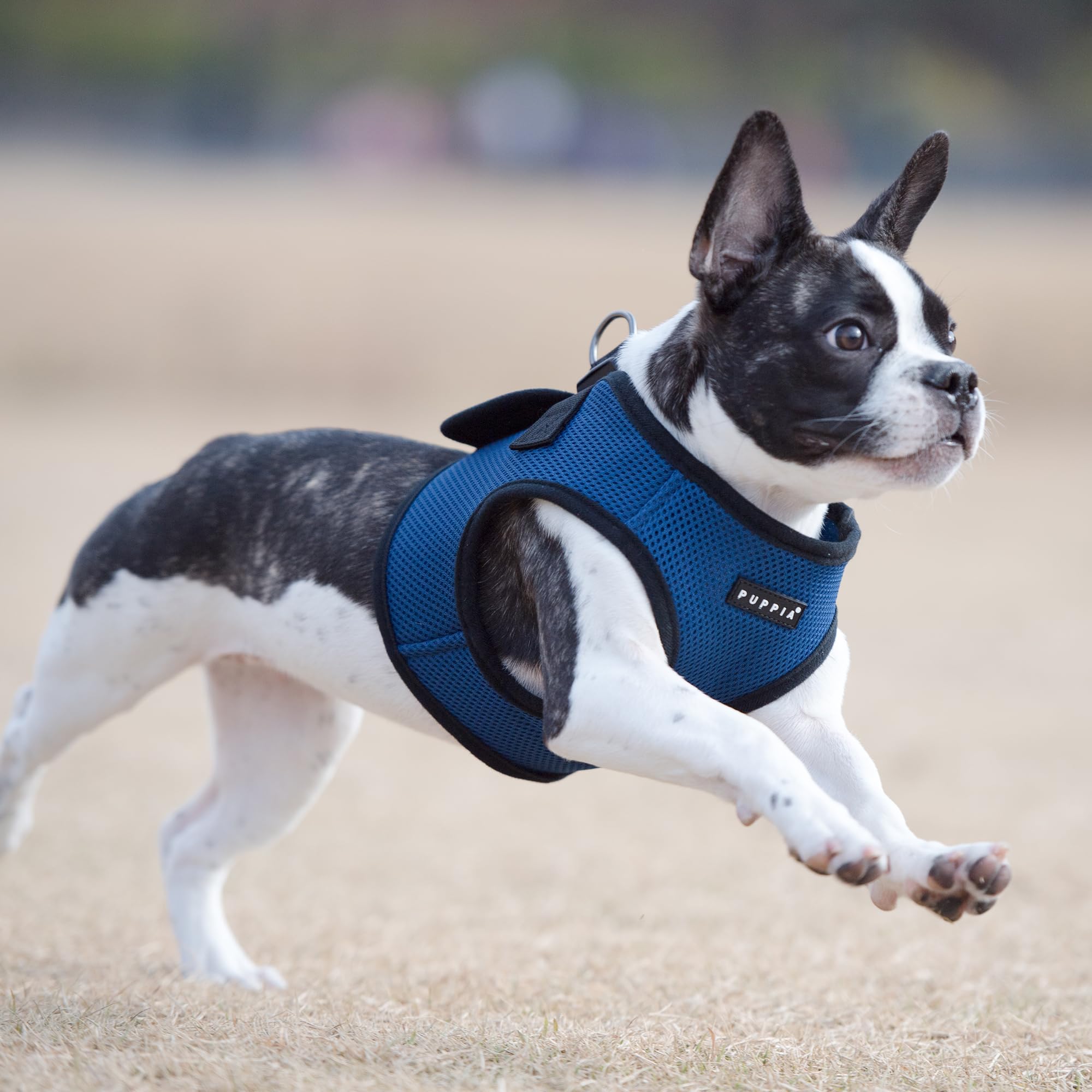 PUPPIA International Puppia Harness Soft B Vest Royal Blue Large