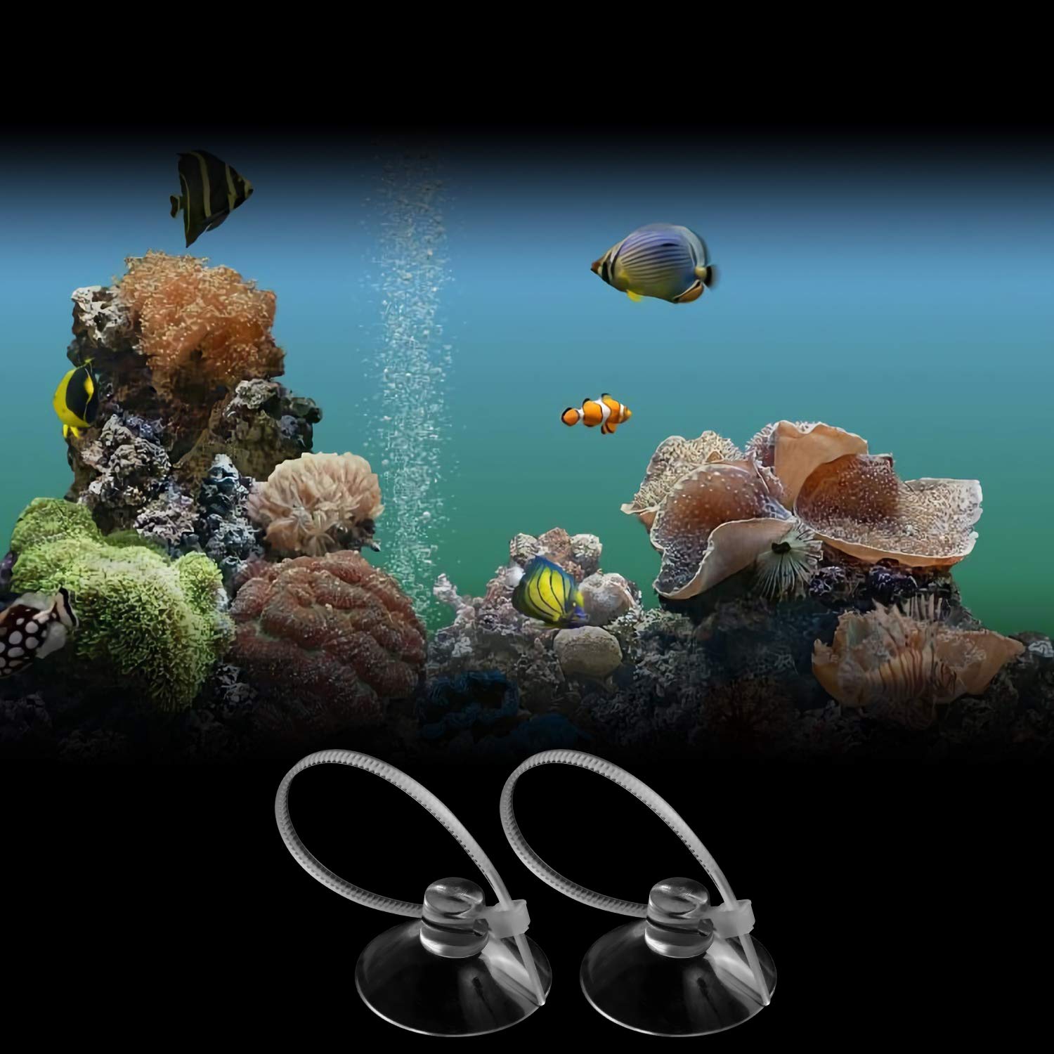 FEBSNOW Aquarium Suction Cups with 30 PCS Adjustable Cable Ties, Transparent, Model 7904, Ideal for Plants and Shrimp Nests