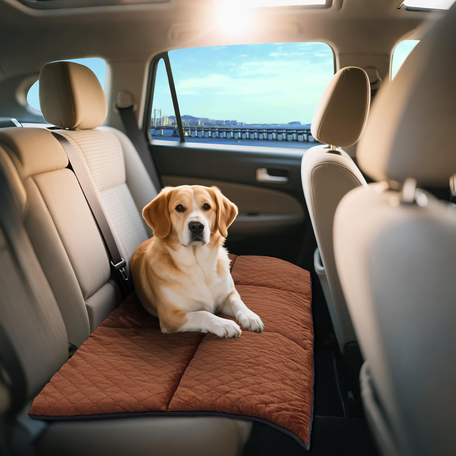 Xuyedoglsh Car Backseat Dog Mat, Comfortable Non-Slip Cushion Suitable For Travel Dog Bed And Pet Home Sofa Blanket, Custom Mat 