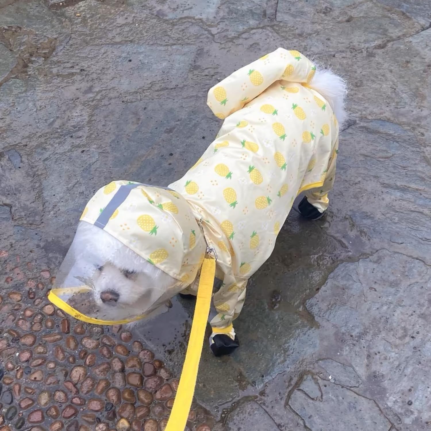 Harikaji Small Dog Raincoat - Tail Protect Feet Cover Waterproof Rain Jacket For Puppy (Pineapple, Xxl)