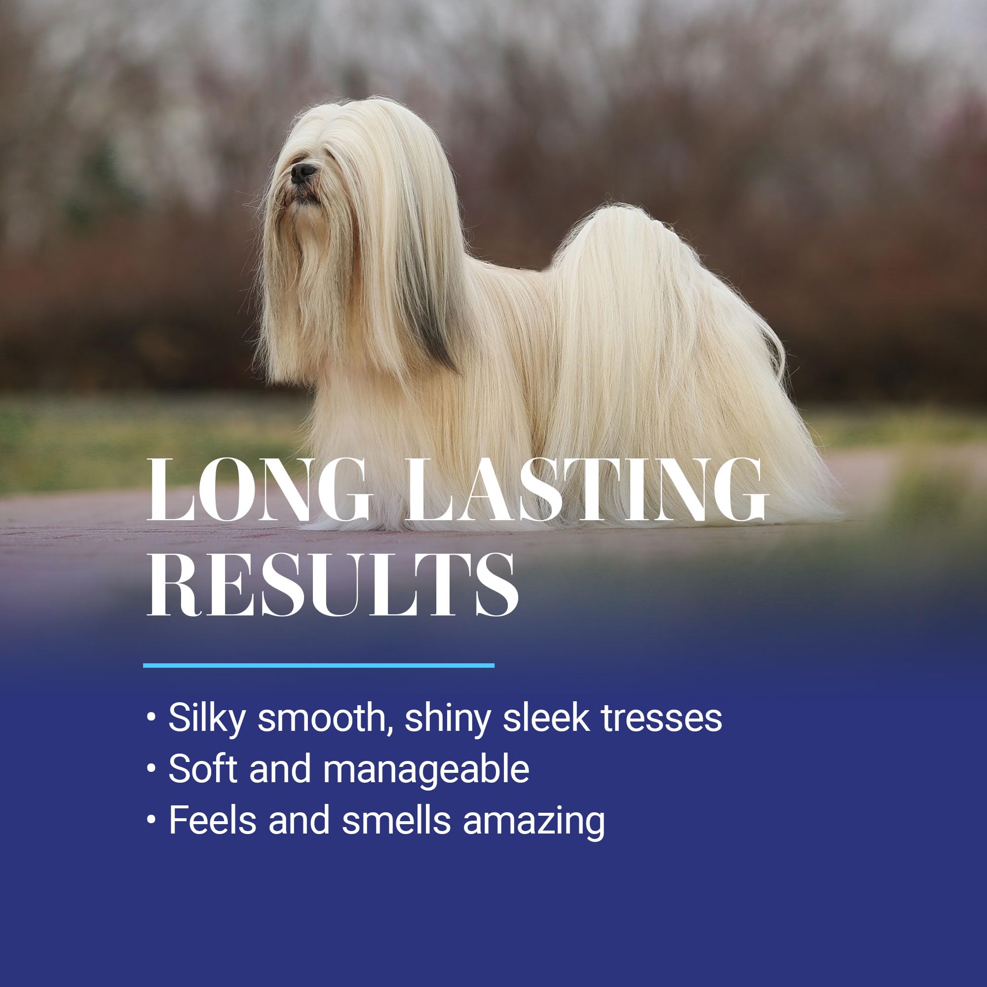 Chris Christensen Ice on Ice Strengthening Dog Shampoo, Groom Like a Professional, Revives Dry, Damaged Coats and Strands, All C