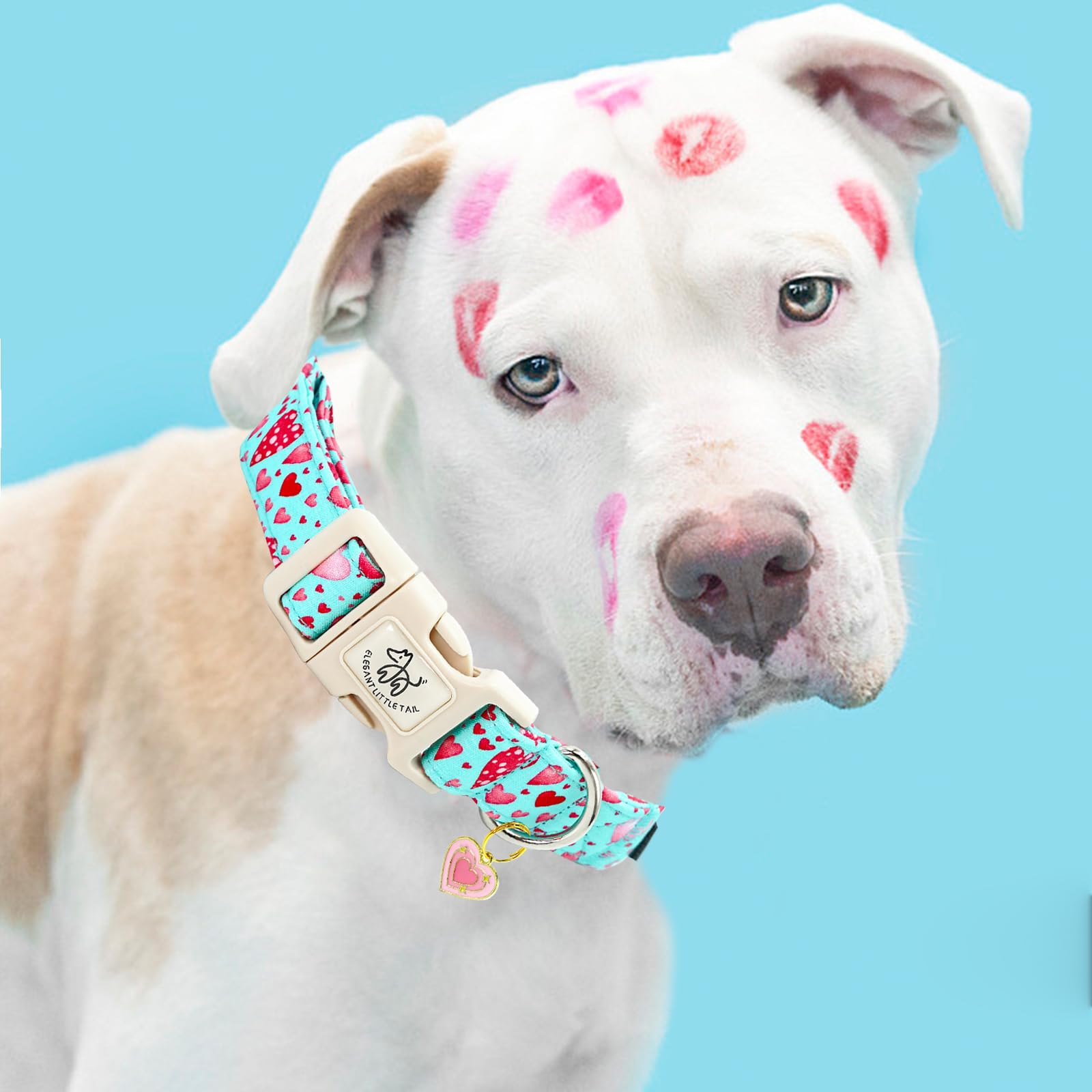 Elegant Little Tail Valentine'S Dog Collar, Pink Heart Dog Collar For Medium Dogs, Female Or Male Adjustable Cotton Pet Collar W