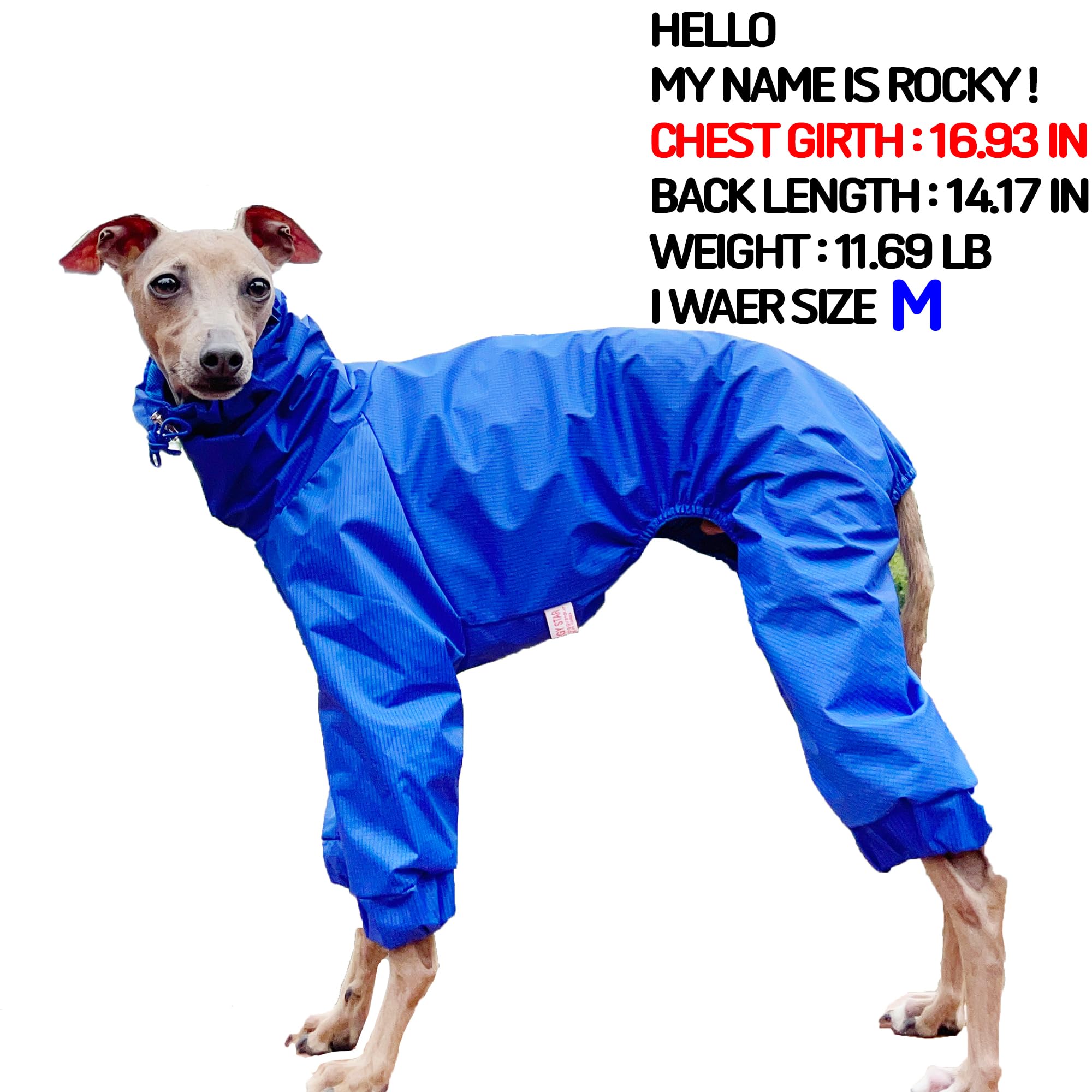 D Doggy Star Italian Greyhound Raincoat Waterproof Jacket Windbreaker Clothes Whippet For Dog (3Xl,Raincoat Blue)