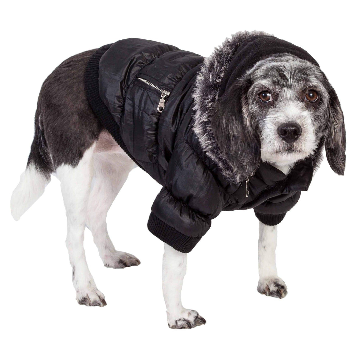 Pet Life Metallic Fashion Pet Parka Coat, Black, Small