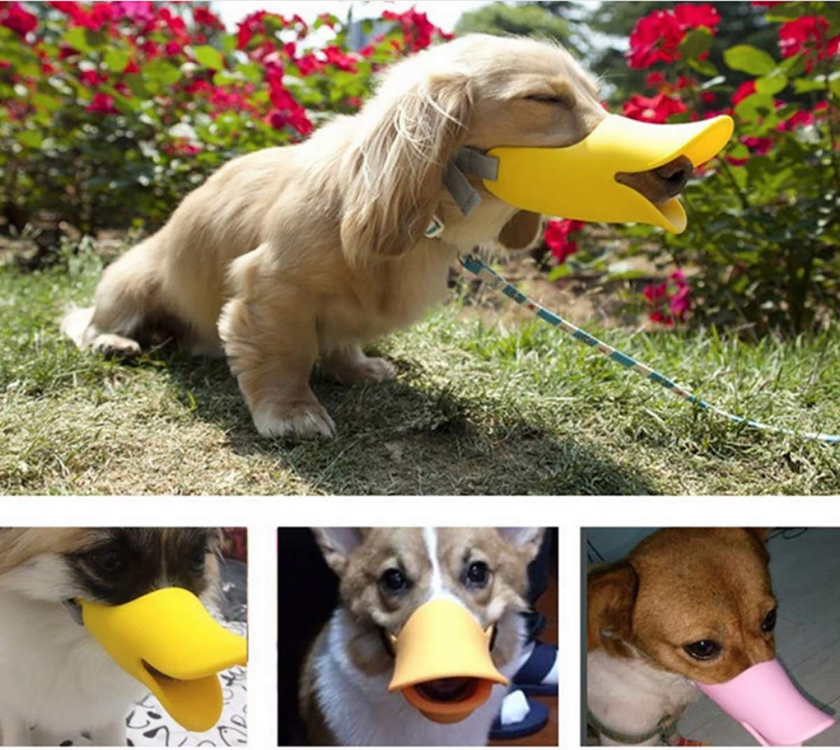 Dog Muzzles Anti Bite Silicone Duck-Bill Duck Mouth Shape Dog Mouth Covers Anti-Called Muzzle for Puppy Dogs