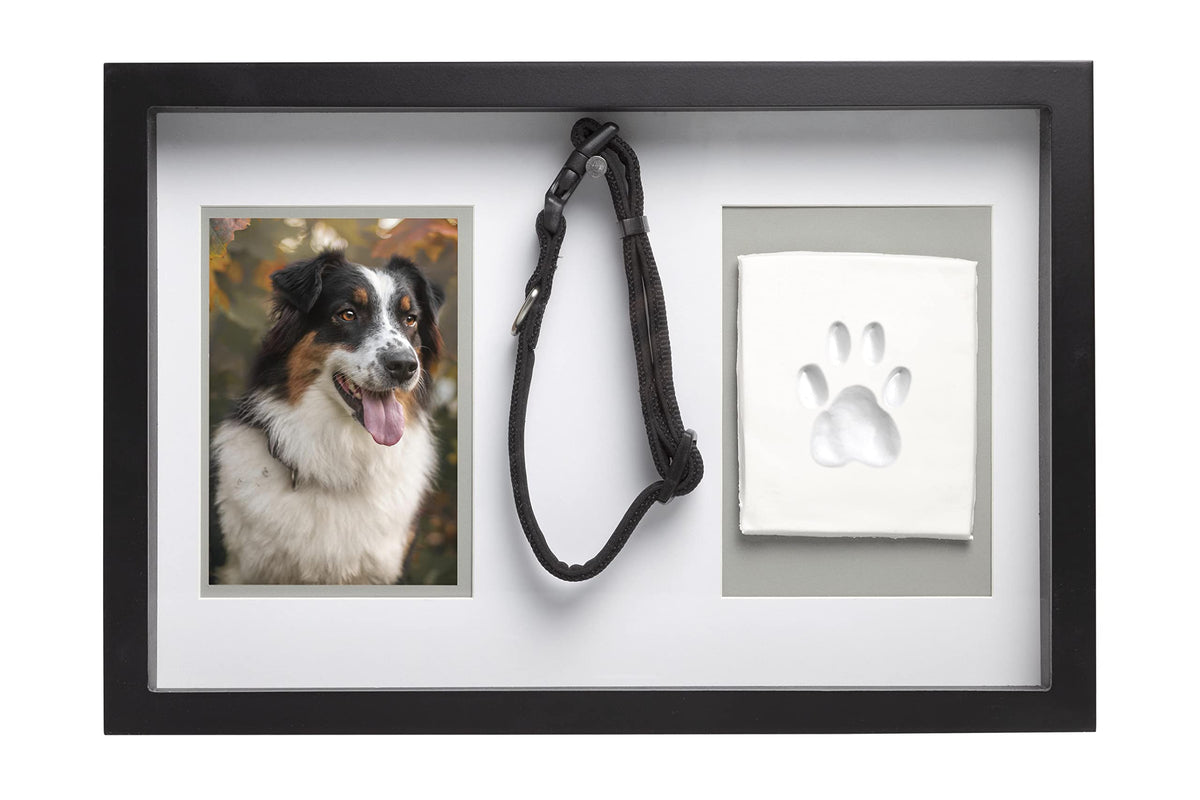 Pearhead Pawprints Collar Frame, Pet Keepsake Photo Frame, Clay Pawprint And Collar Frame, Pet Memorial Picture Frame