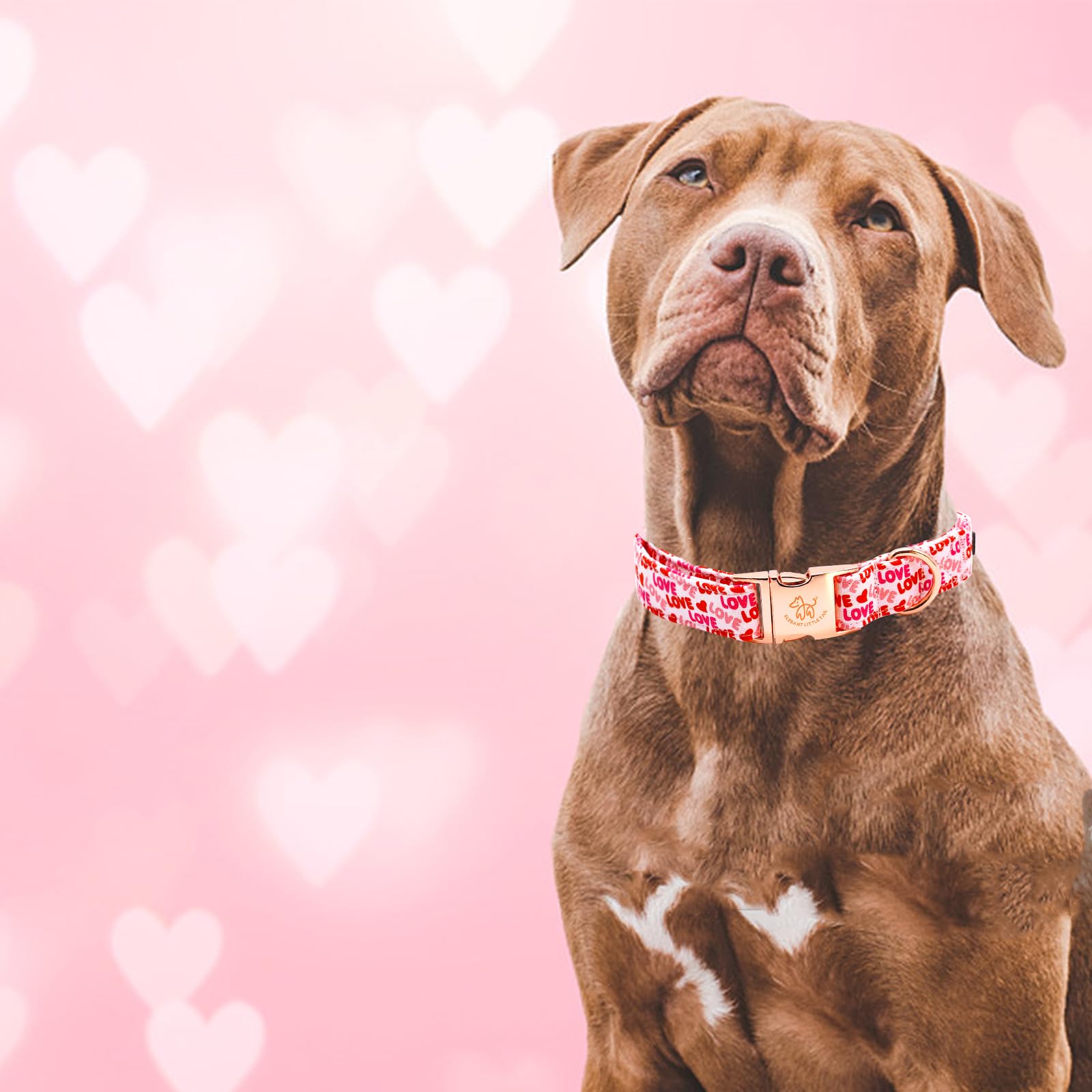Elegant Little Tail Valentine's Day Collar - Pink Heart Cute Dog Collar, Adjustable for Medium Dogs